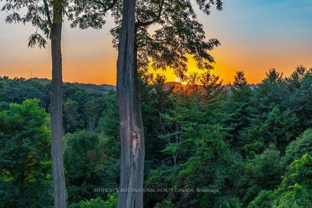 244 Brookview Court