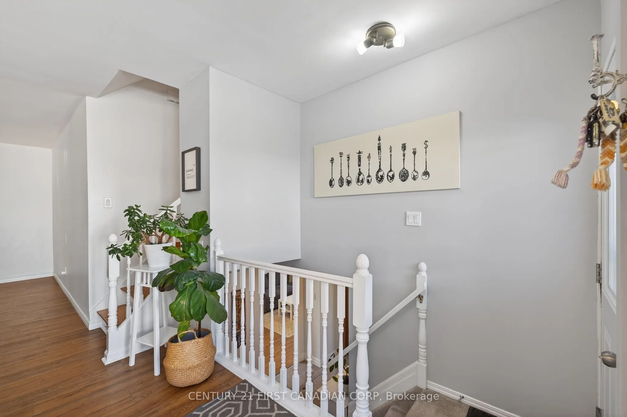 7 Upcott Crescent