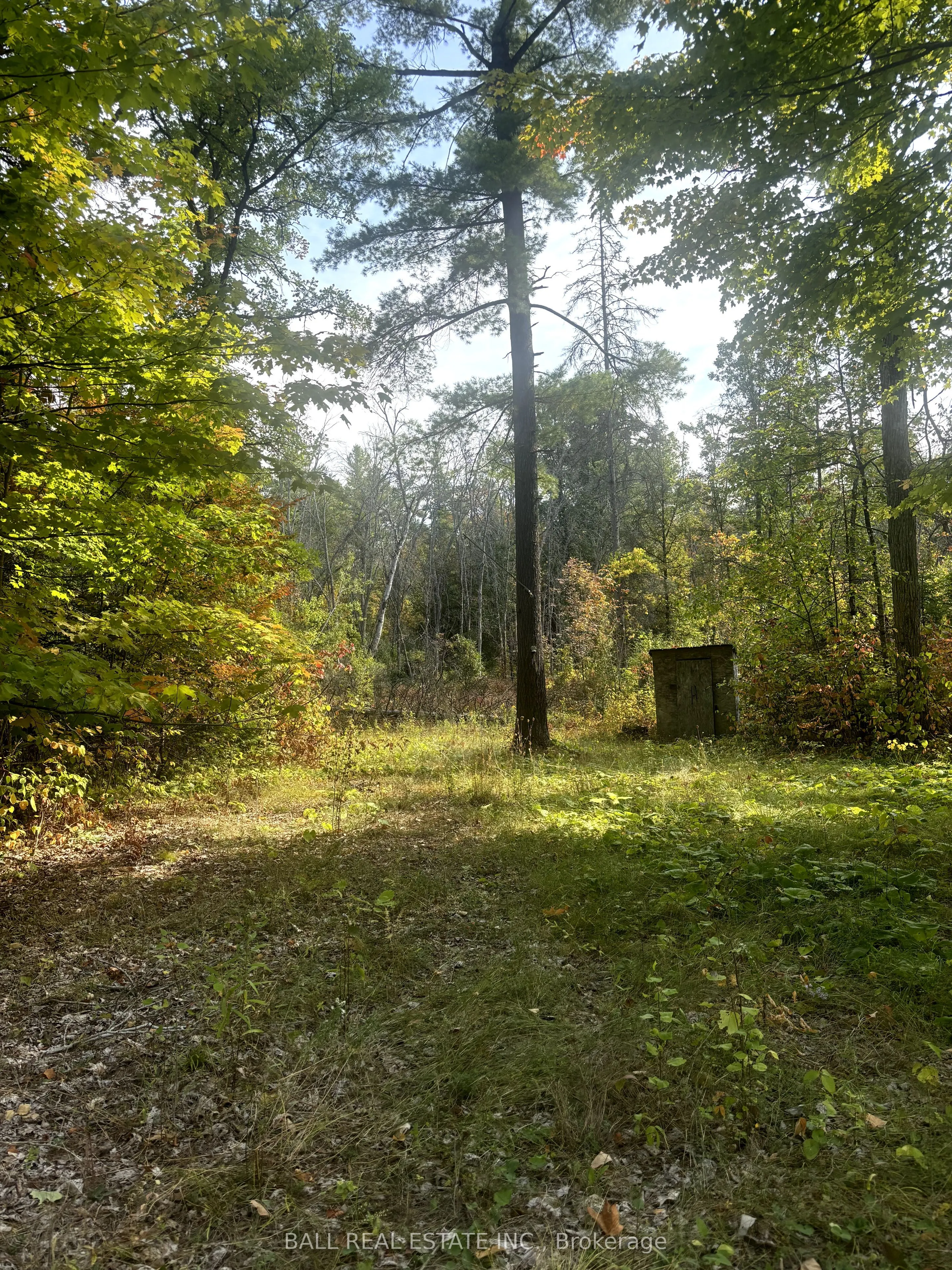 0 Pineview Court