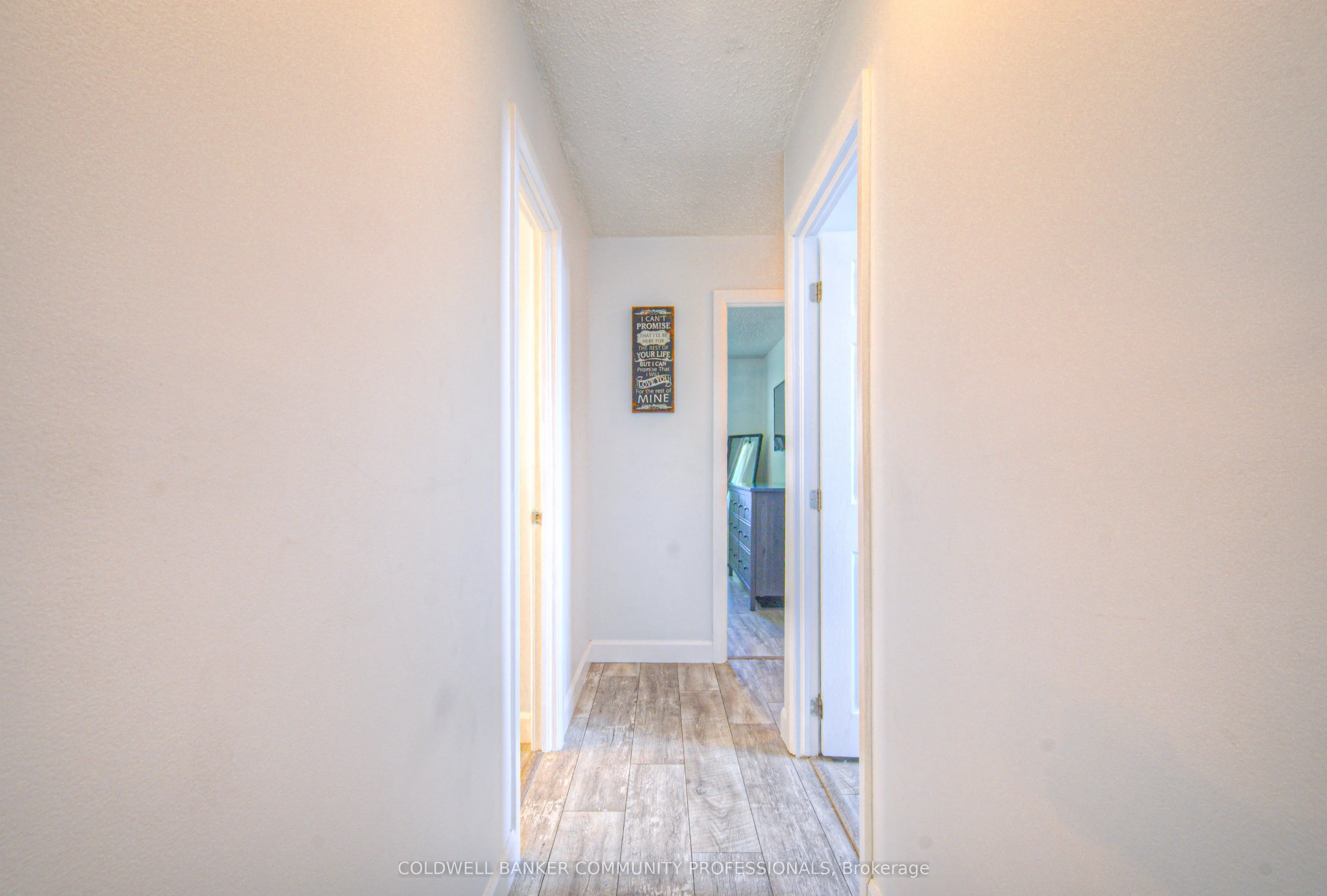 10 Palomino Drive