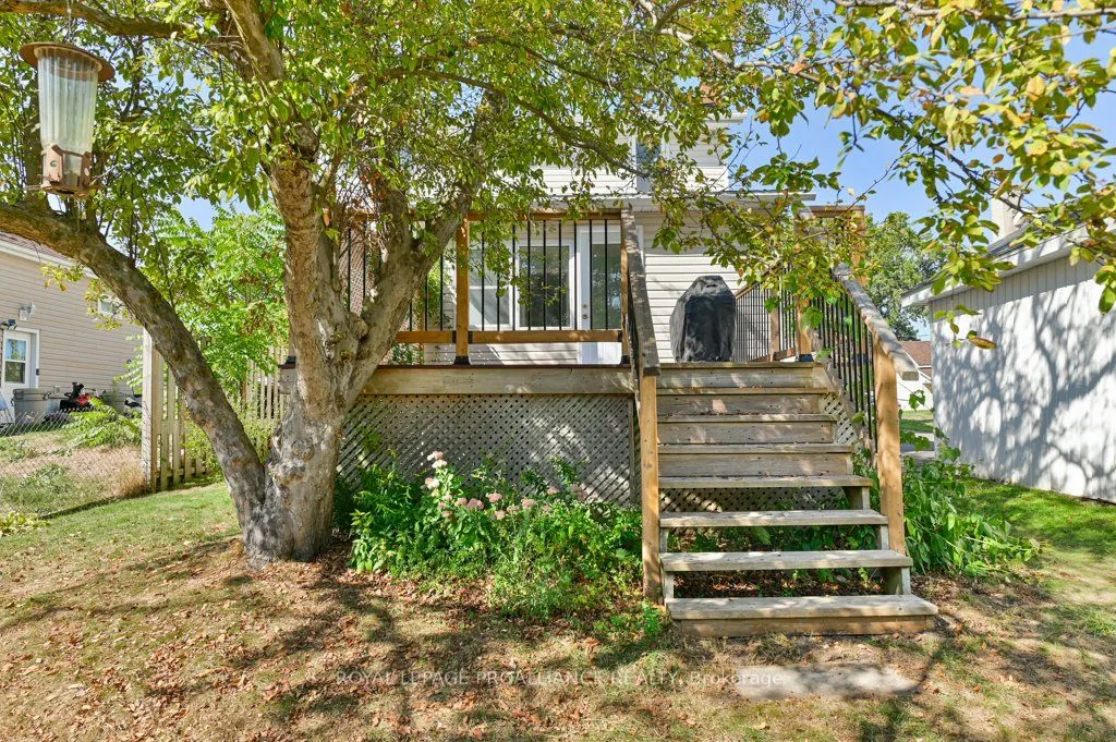9 Wilkins Street
