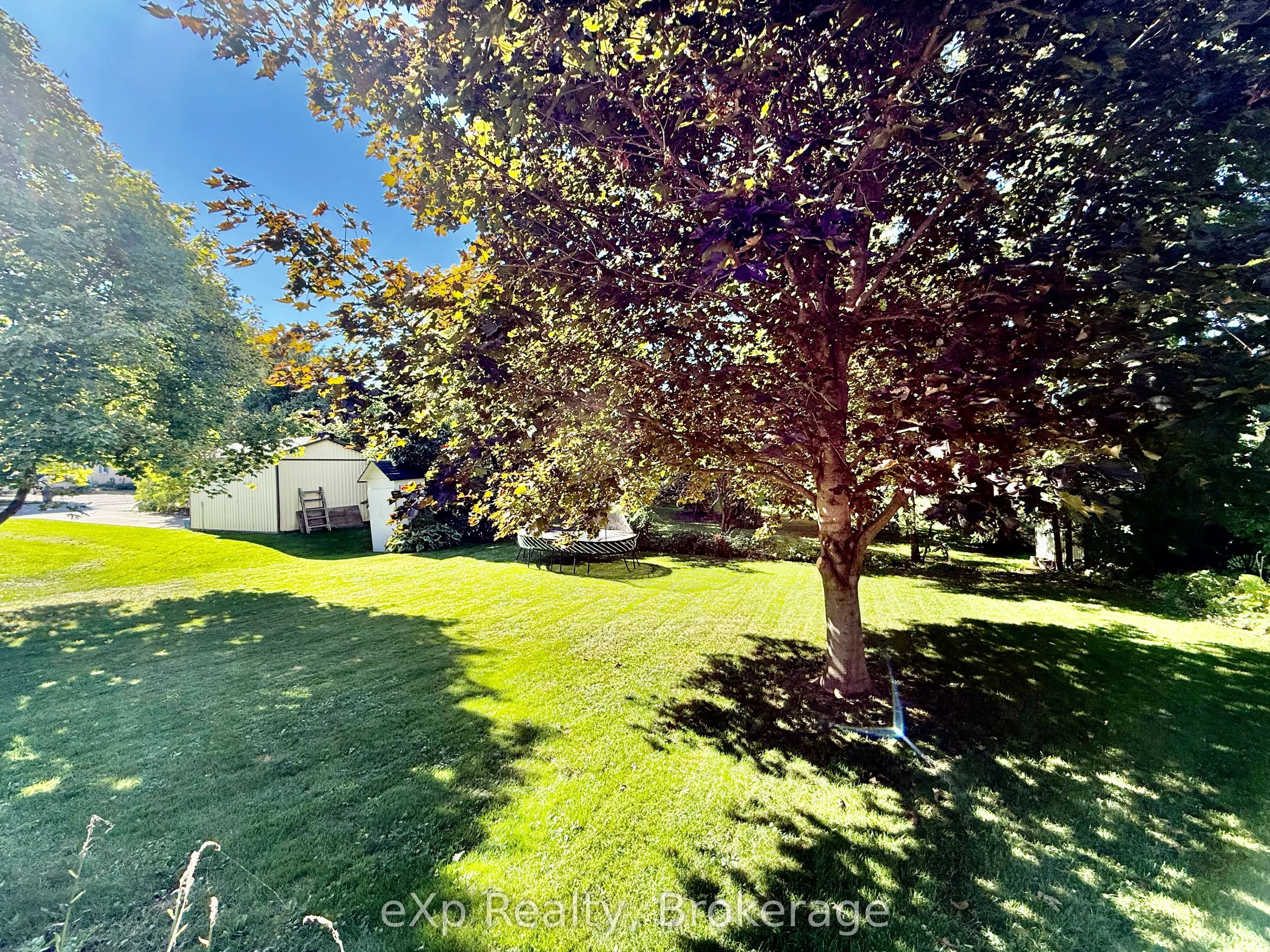 39 Elora Street