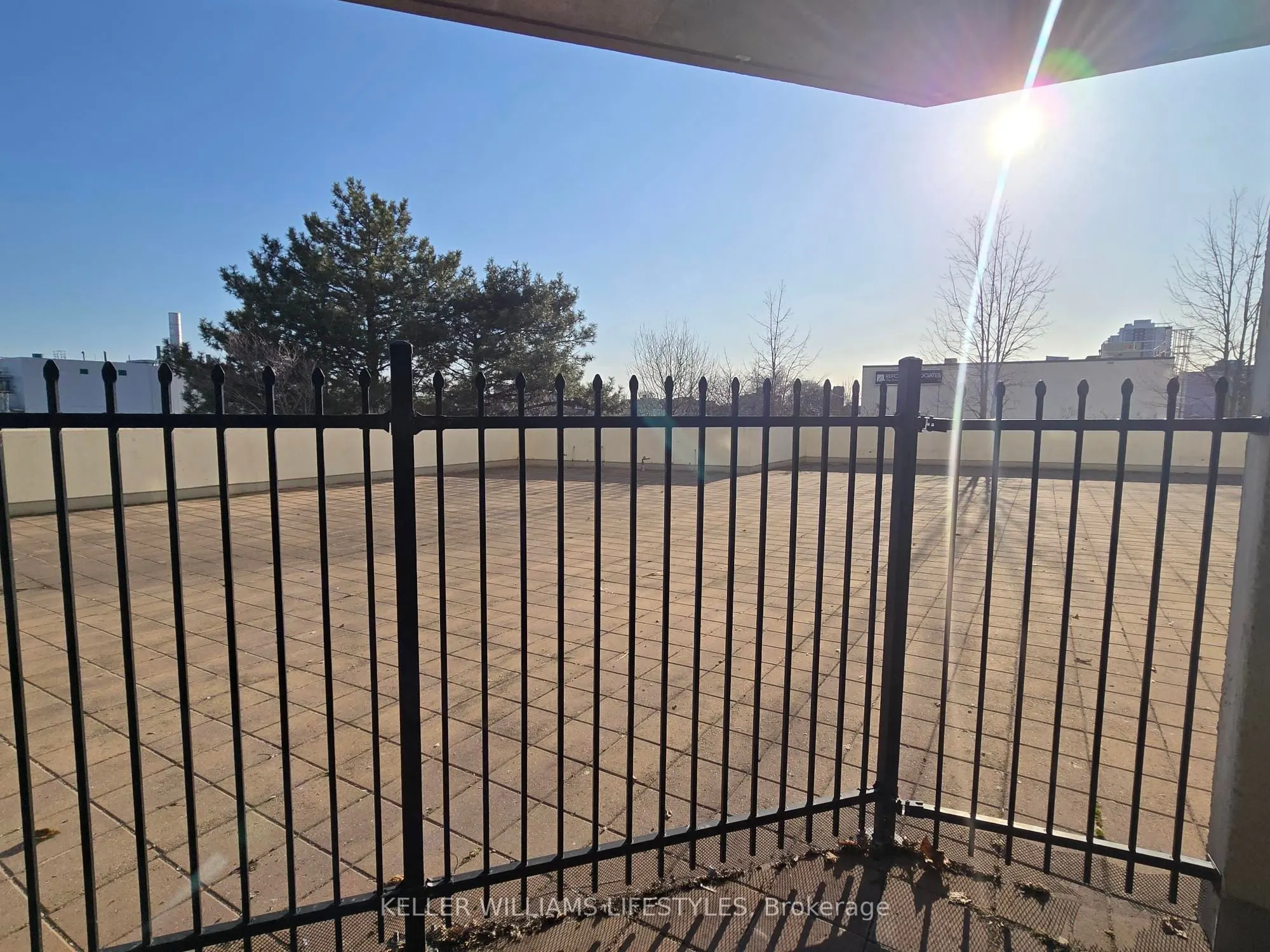 323 Colborne Street, #206