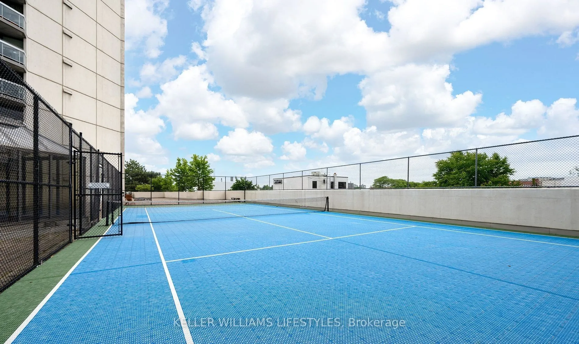 323 Colborne Street, #206