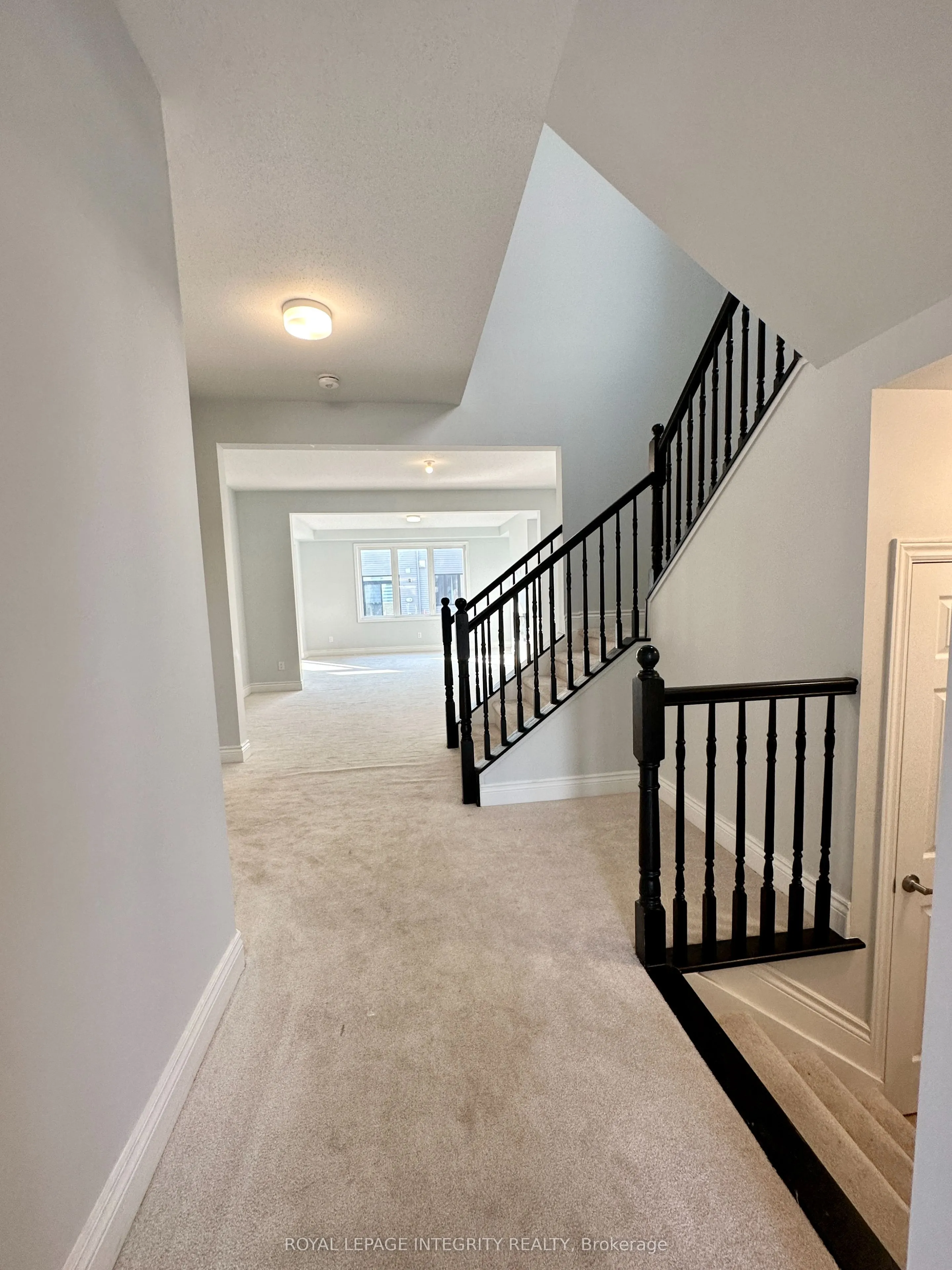 205 Yearling Circle