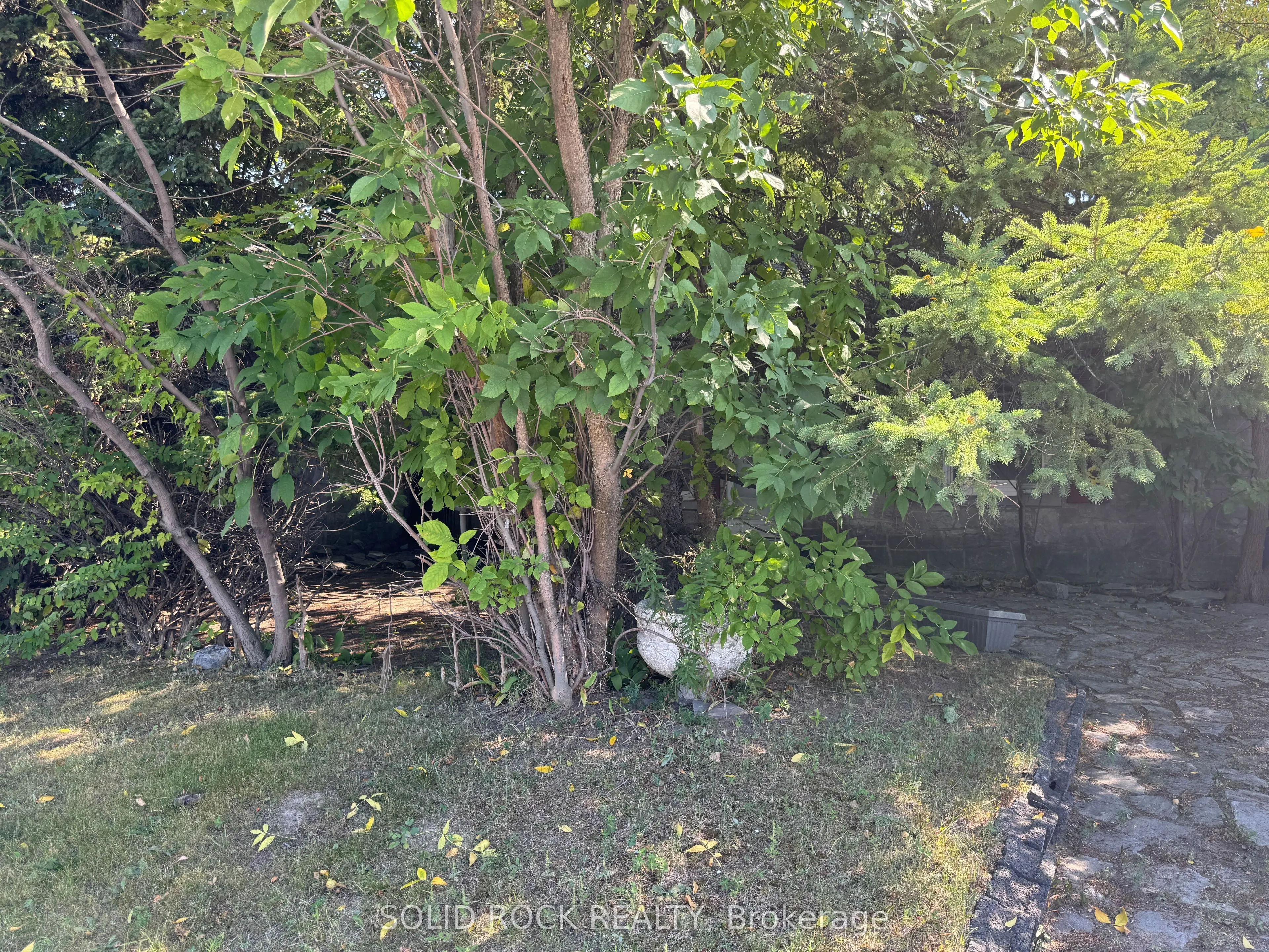 244 Smyth Road