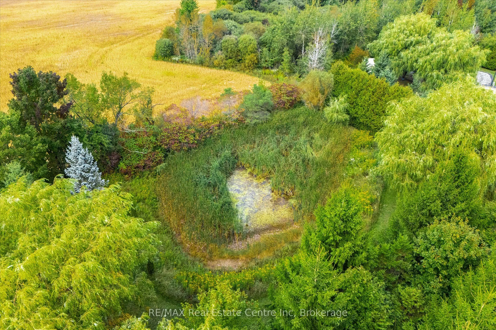 7728 21 Side Road