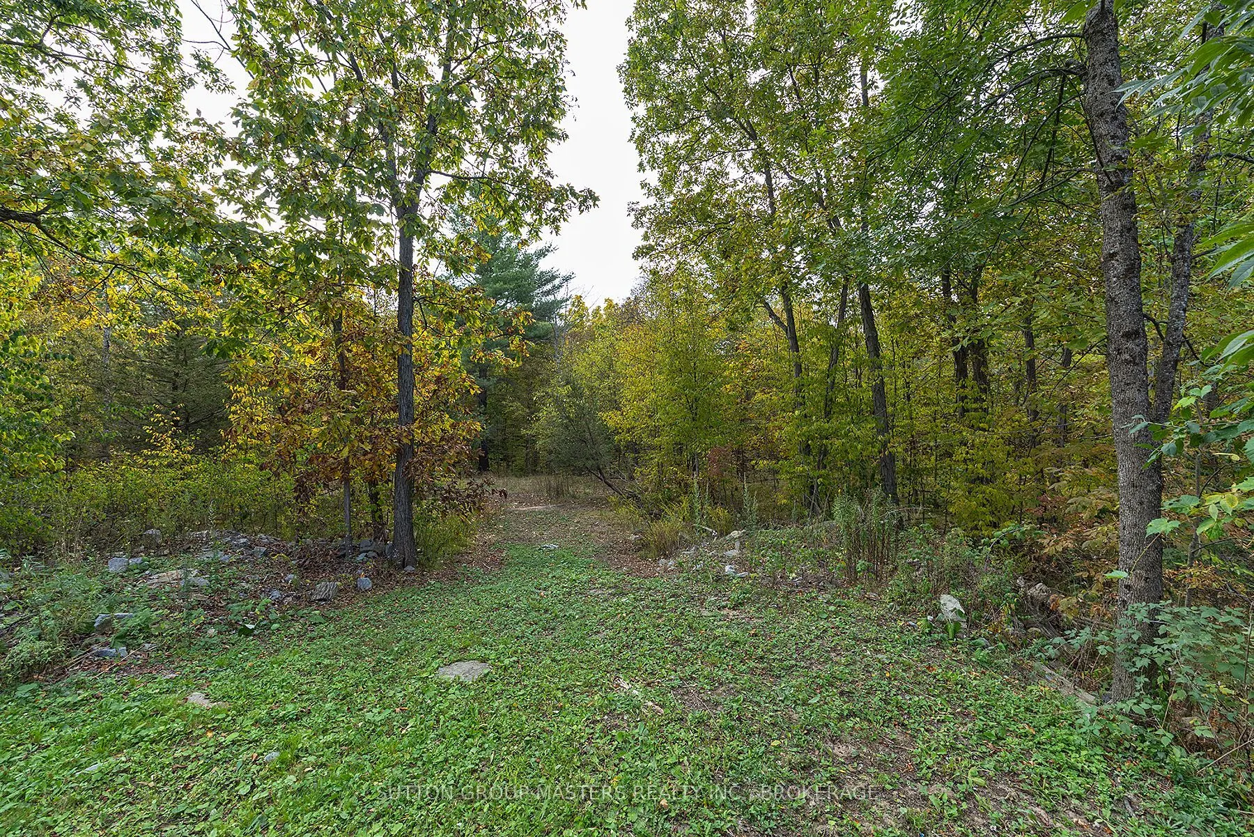 1175 Ritchie Road