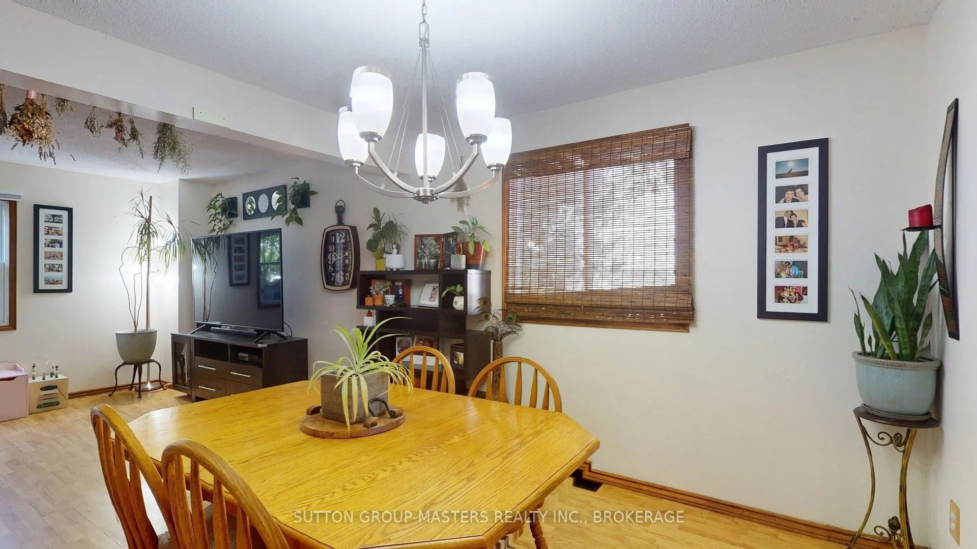 4 Trillium Court