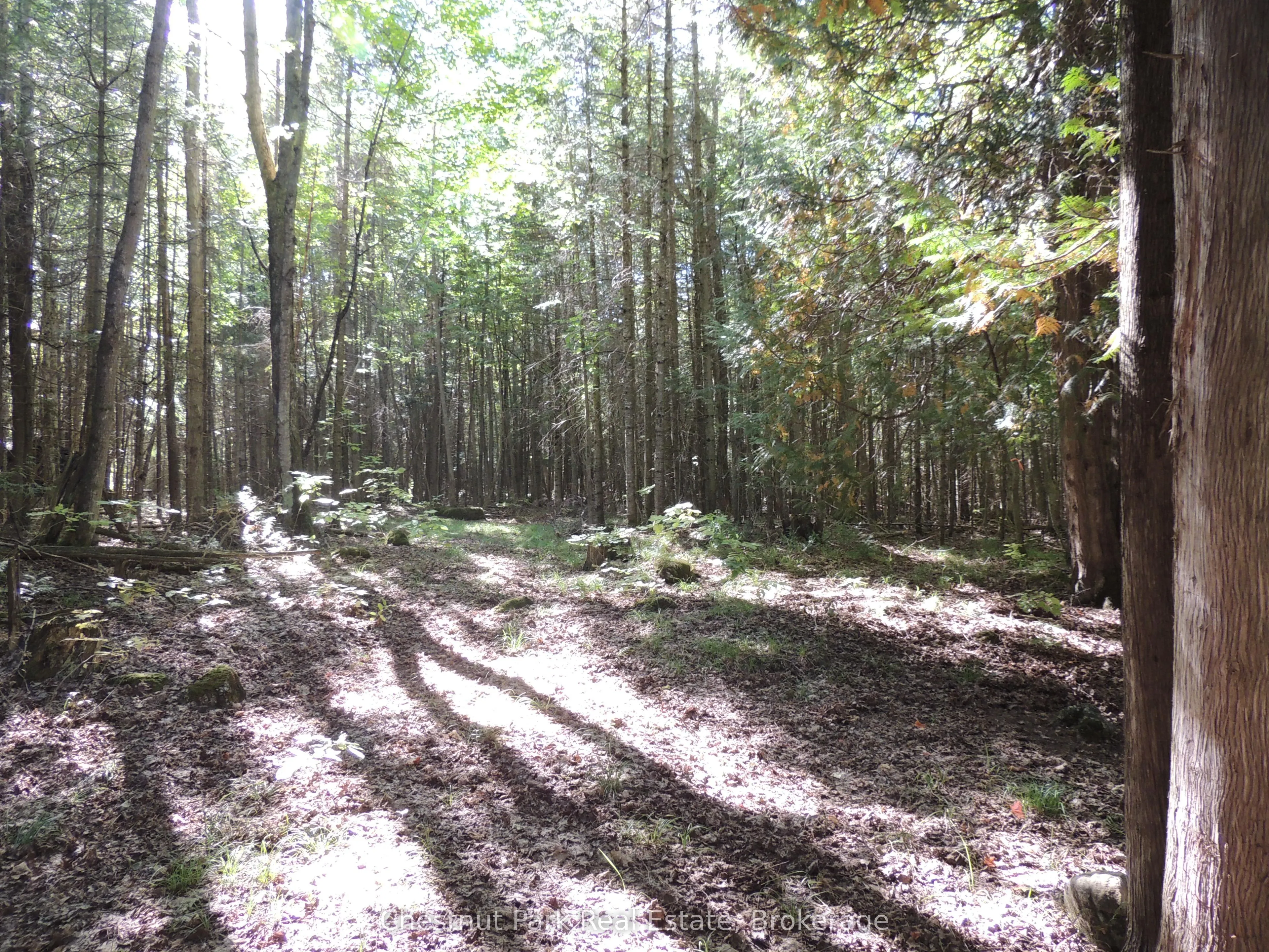 596244 Concession 10