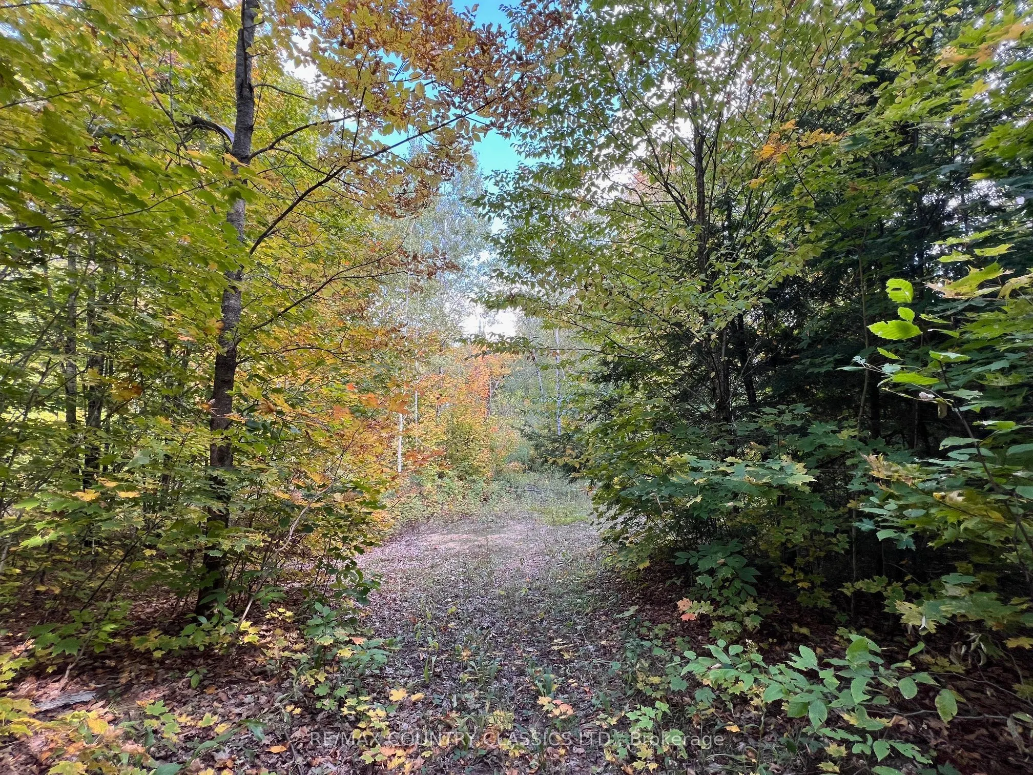 0 FOREST VIEW Road