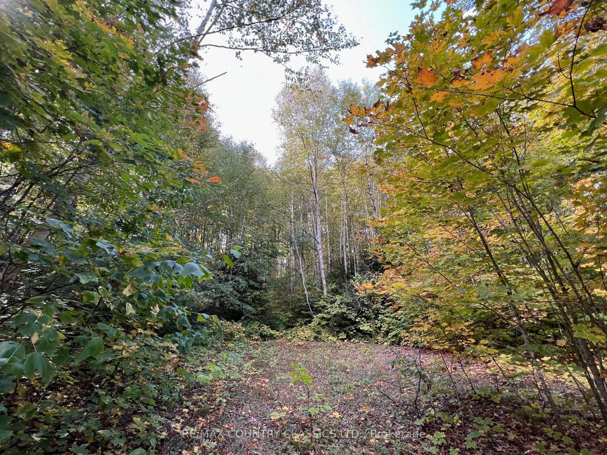 0 FOREST VIEW Road