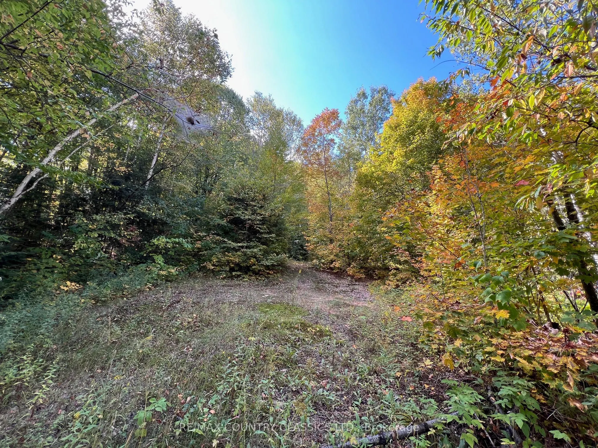 0 FOREST VIEW Road