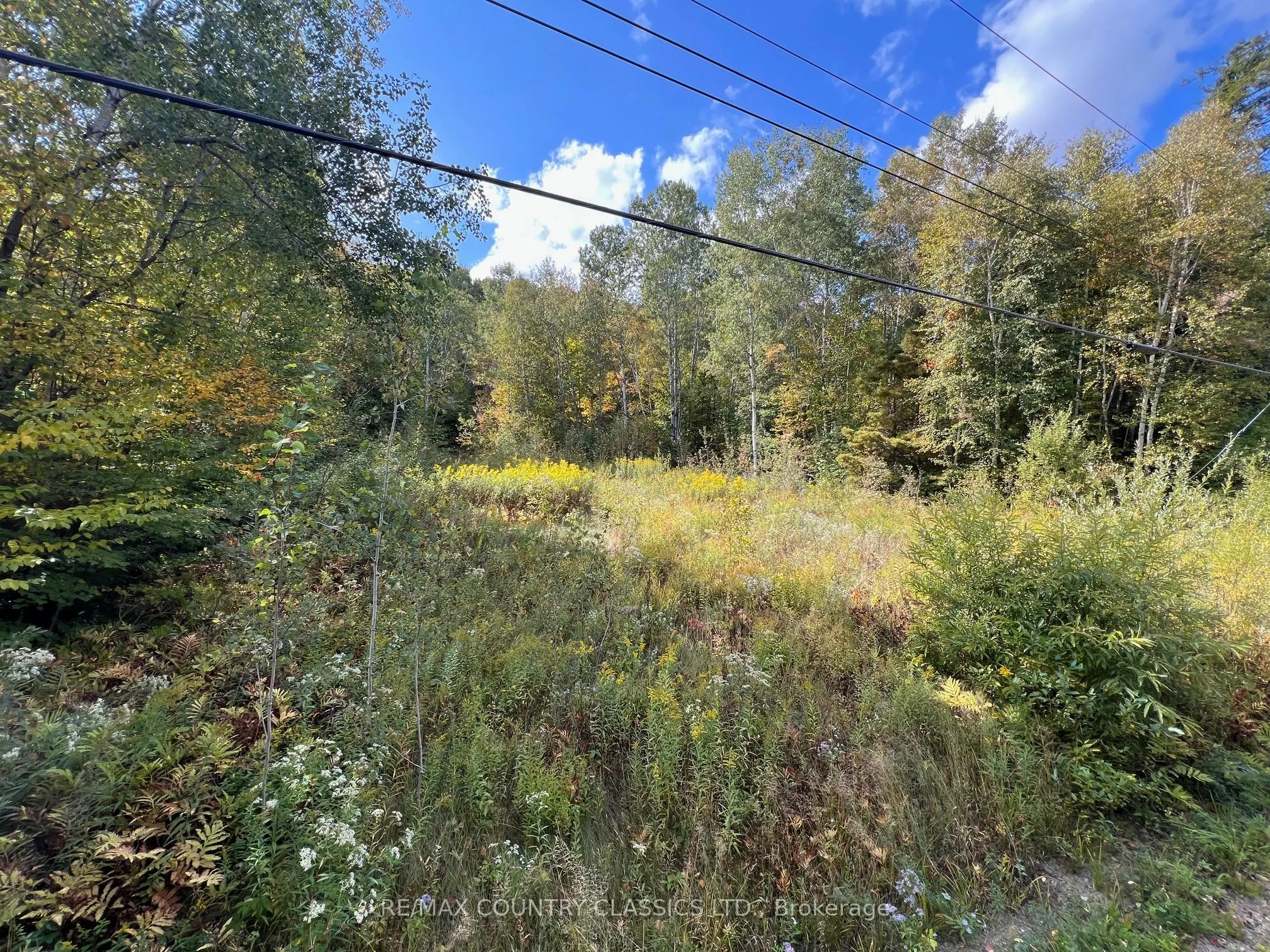 0 FOREST VIEW Road