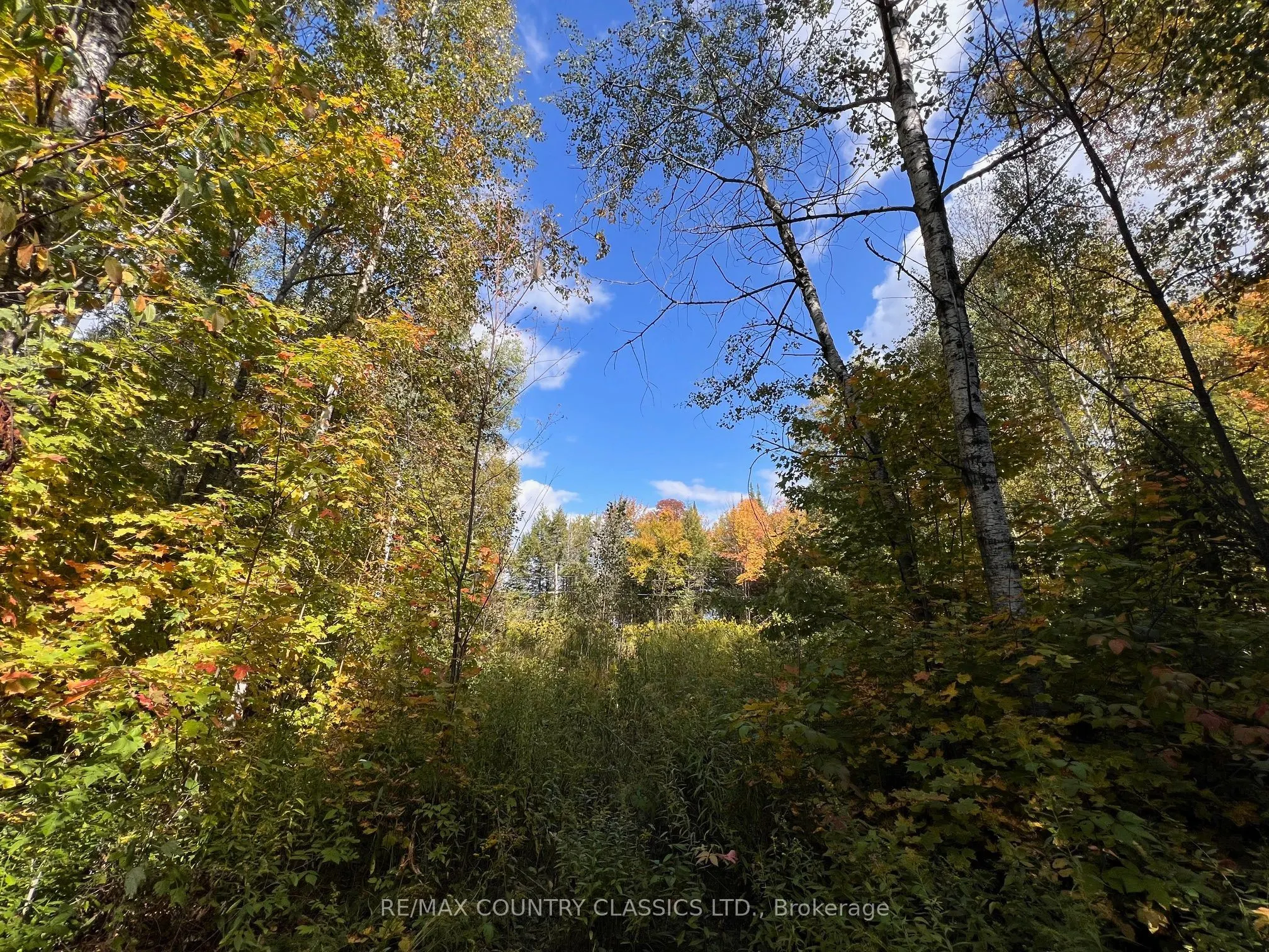 0 FOREST VIEW Road