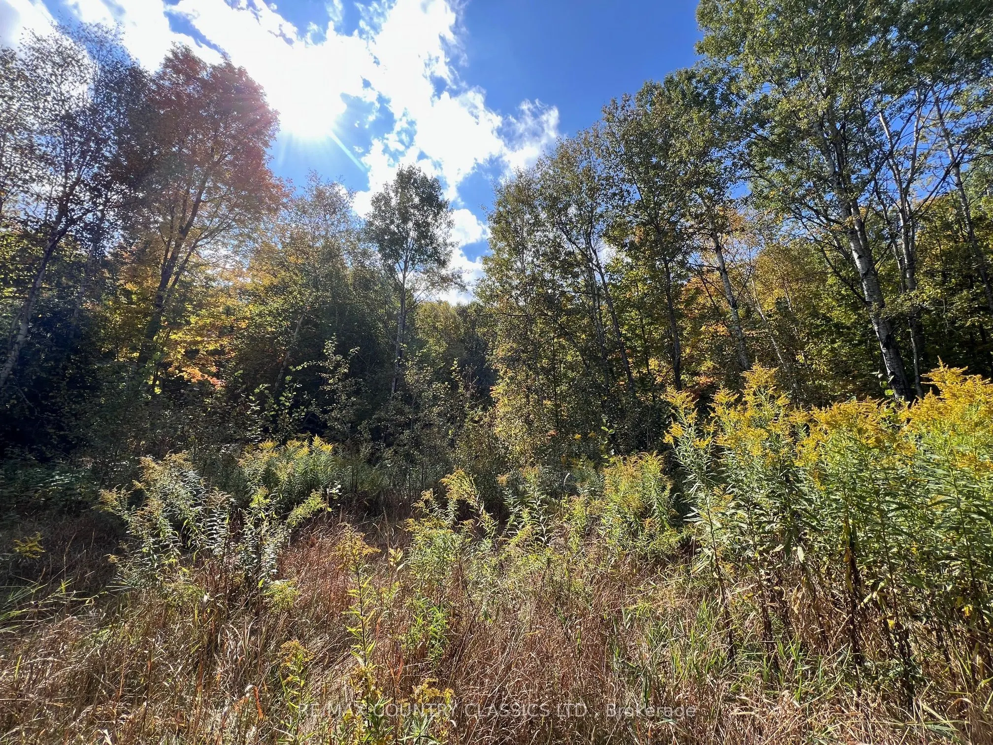 0 FOREST VIEW Road