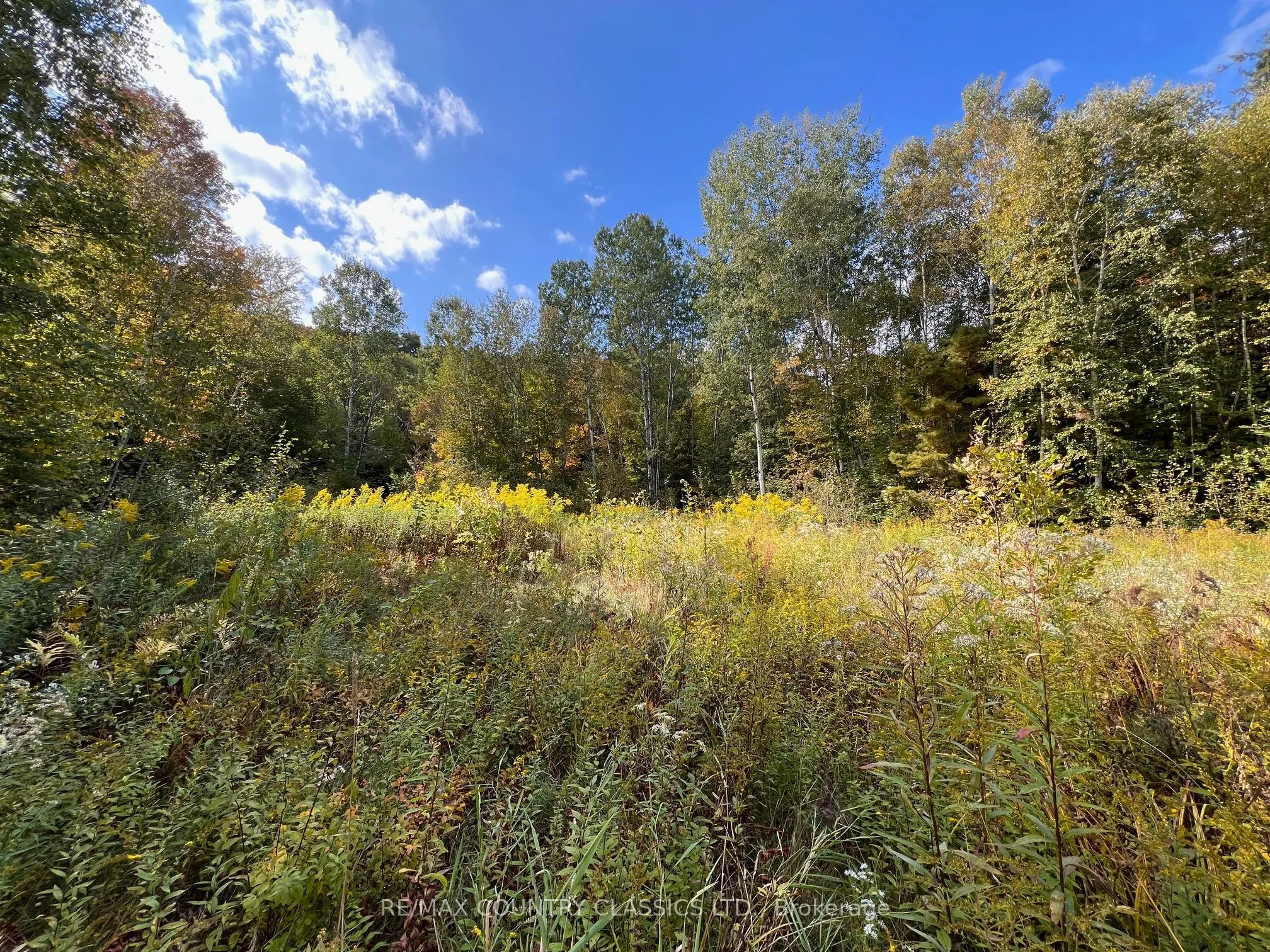 0 FOREST VIEW Road