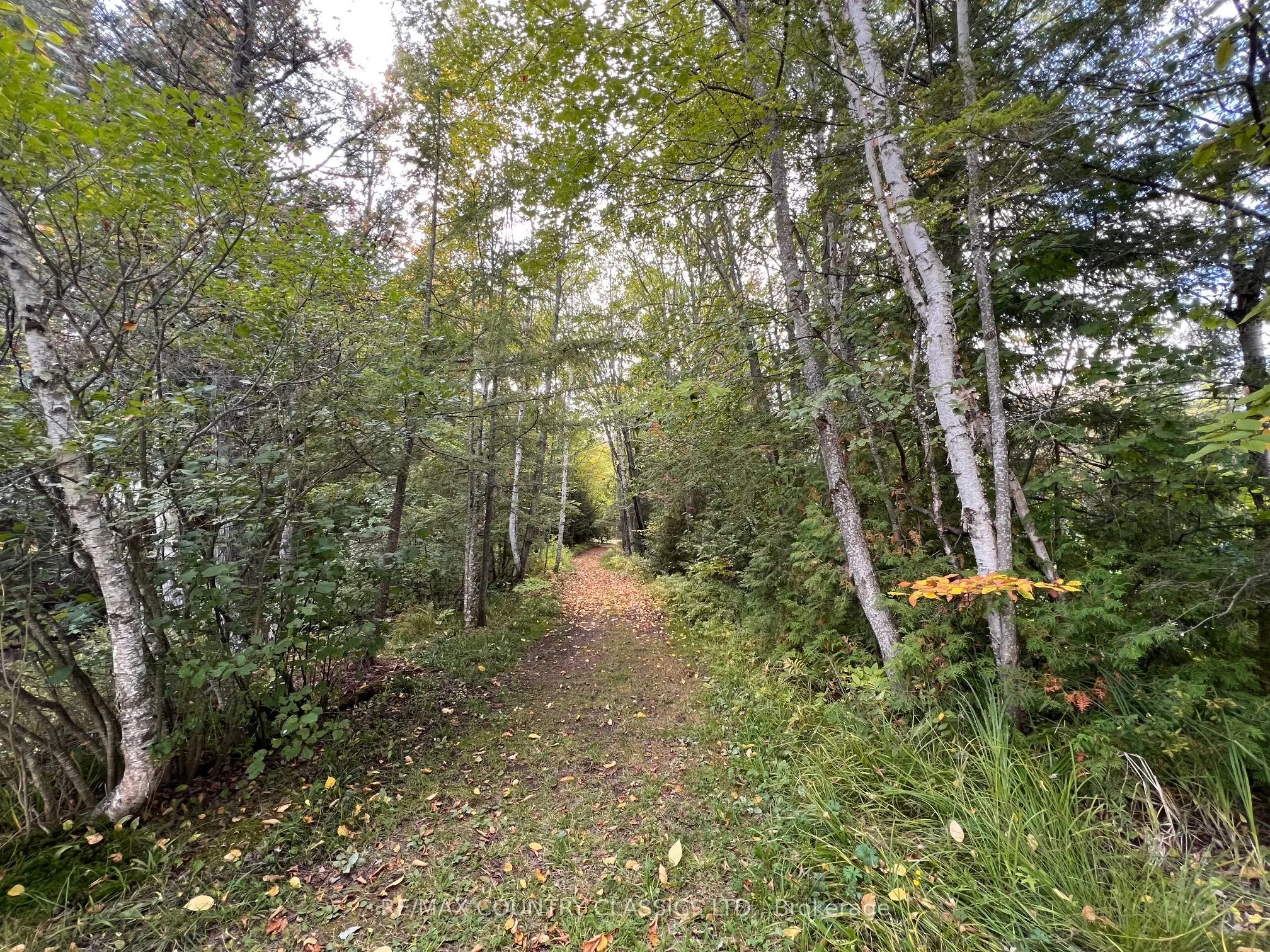 0 FOREST VIEW Road