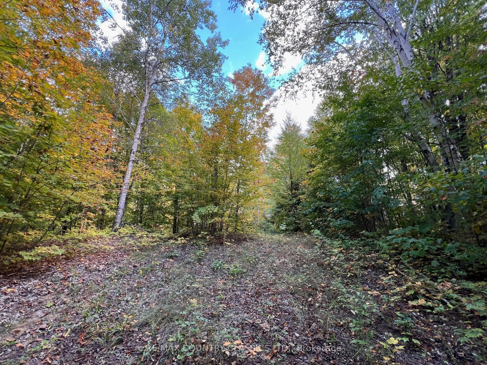 0 FOREST VIEW Road