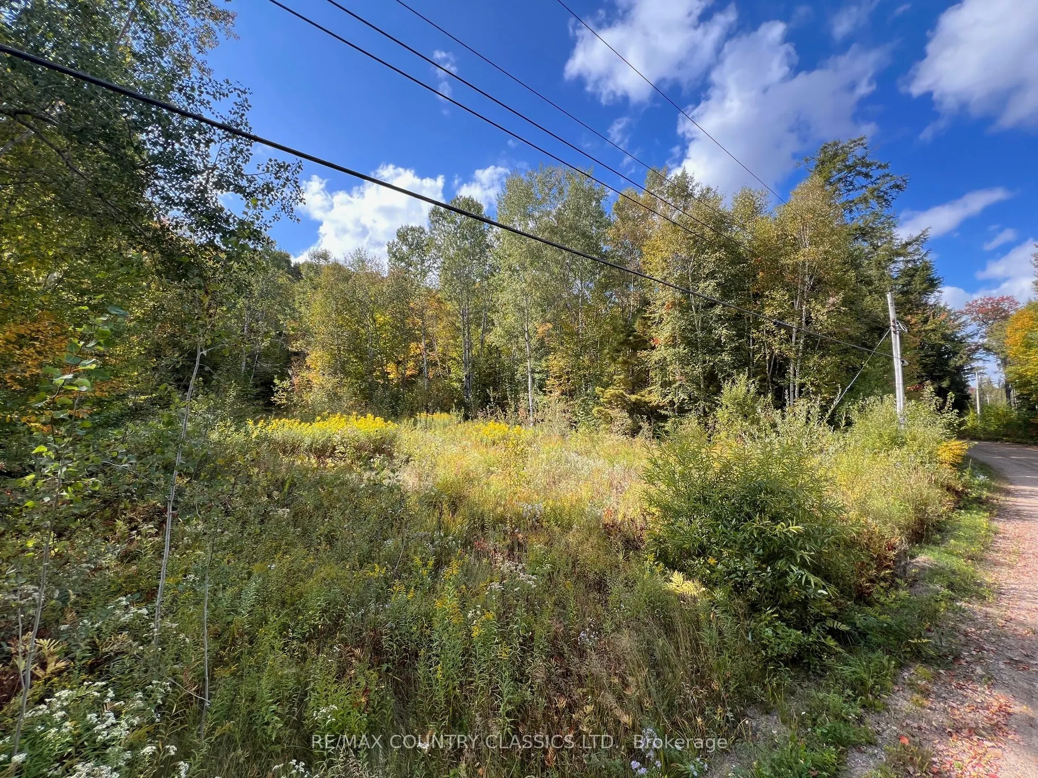 0 FOREST VIEW Road