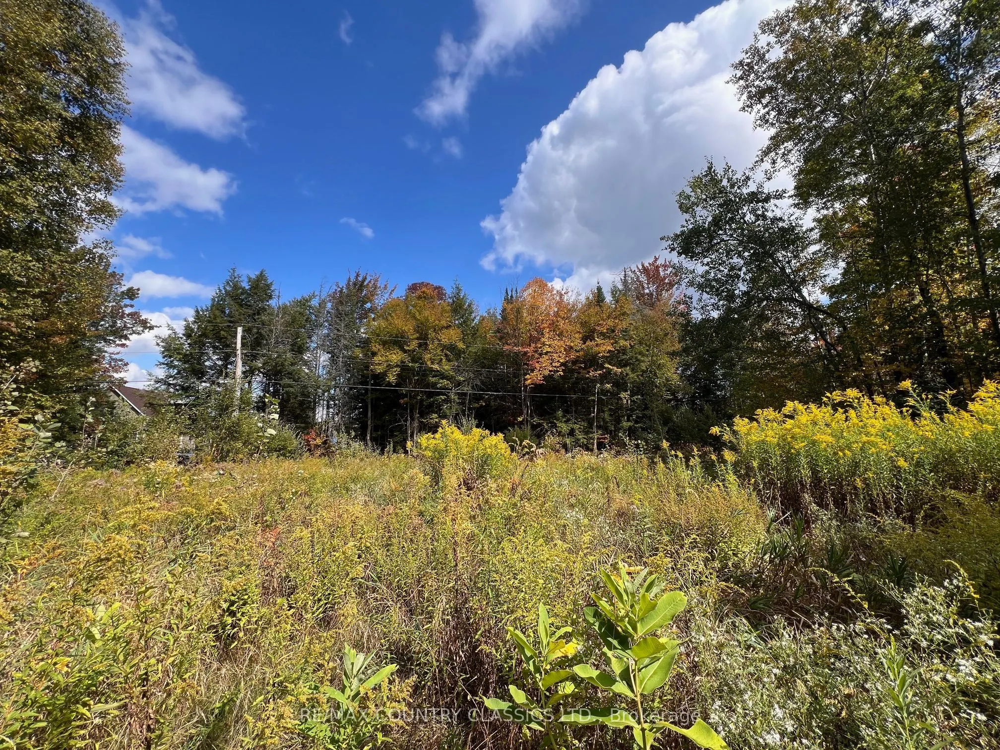 0 FOREST VIEW Road