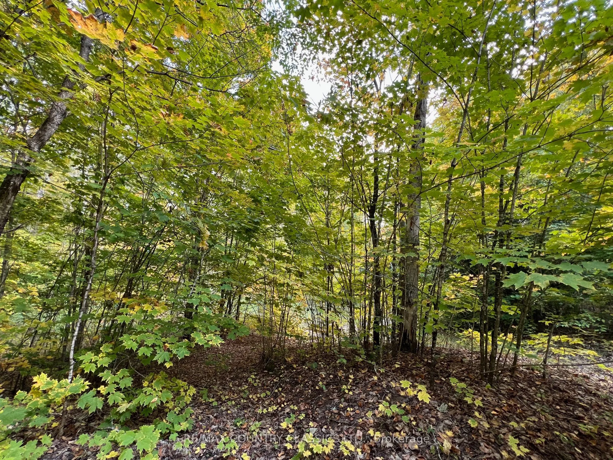 0 FOREST VIEW Road