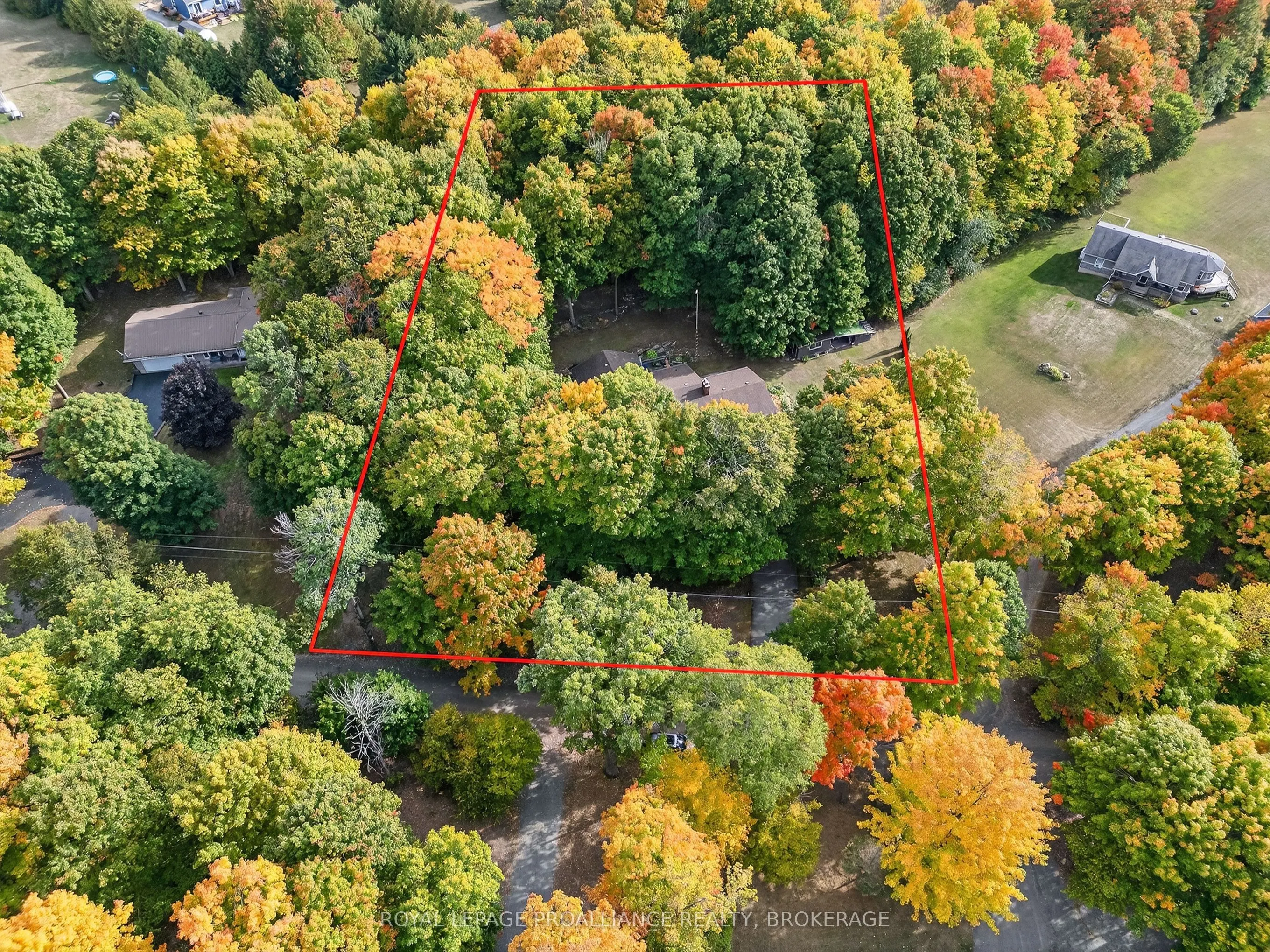 1445 Rickards Road