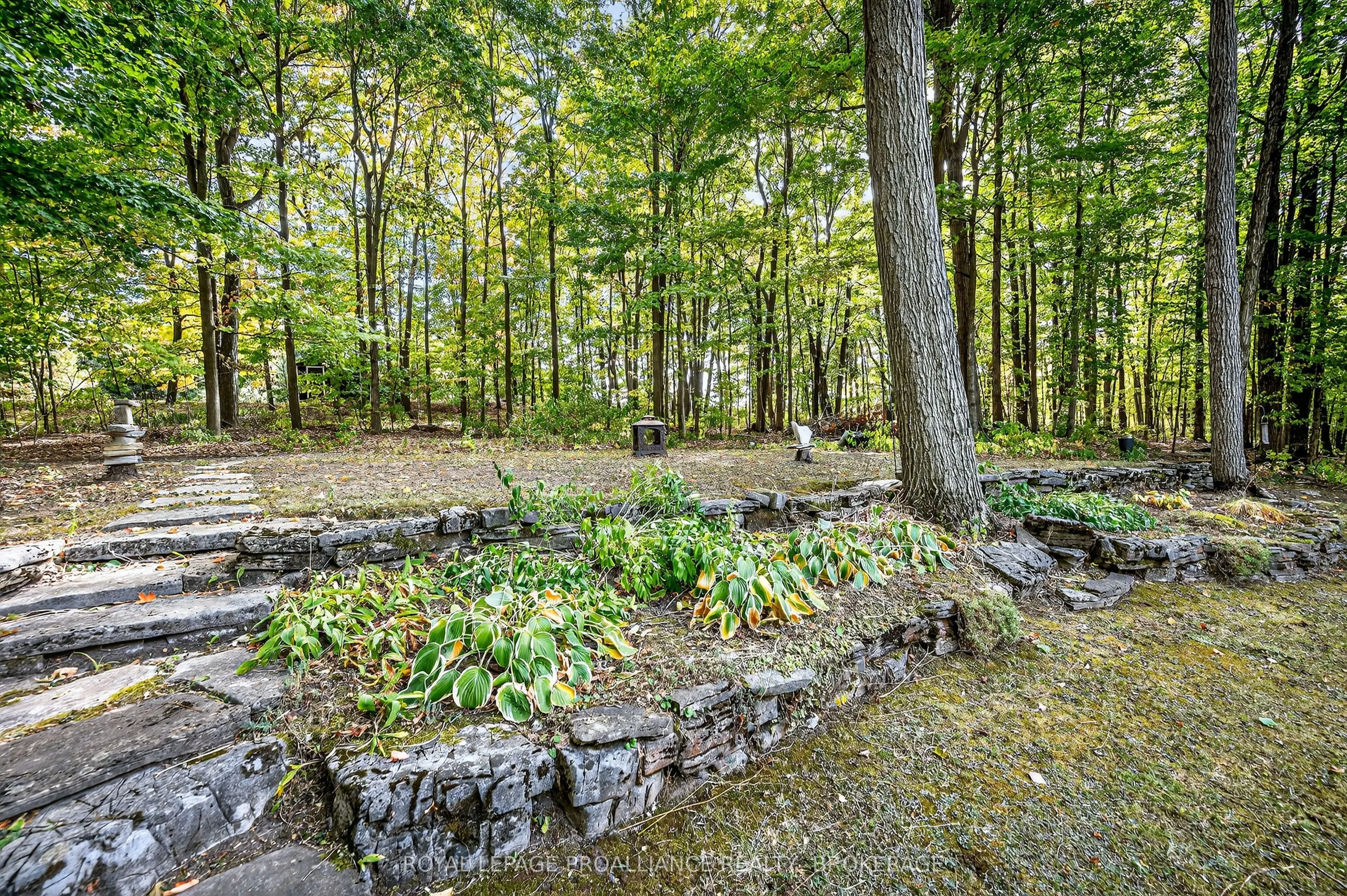1445 Rickards Road