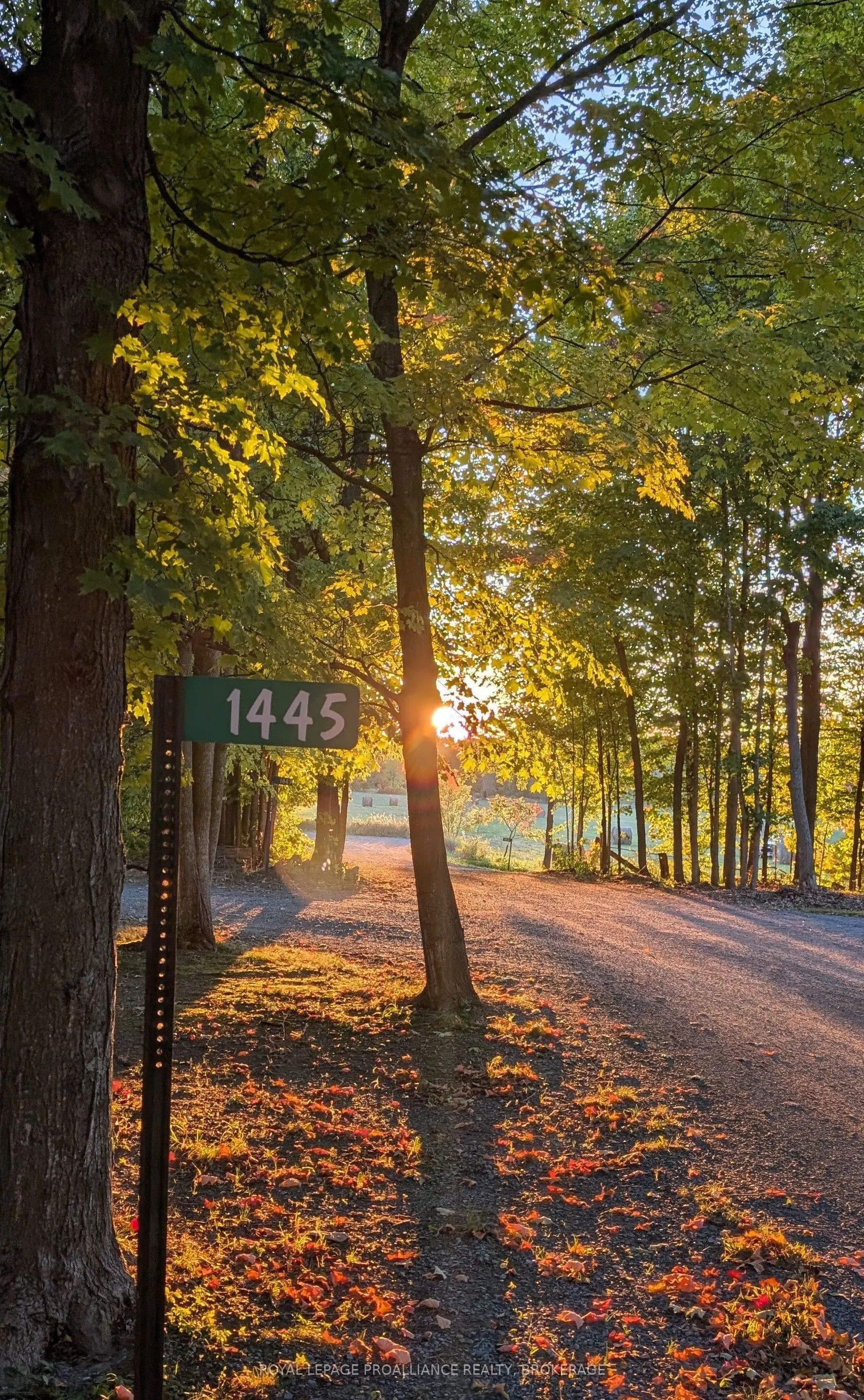 1445 Rickards Road