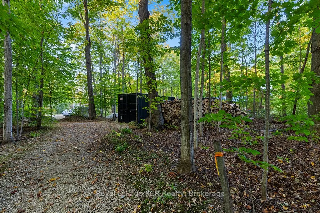 Pt Park Lot 3 Napoleon Street