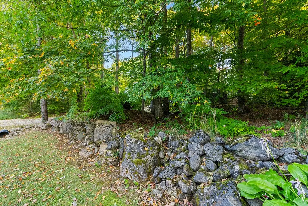 Pt Park Lot 3 Napoleon Street