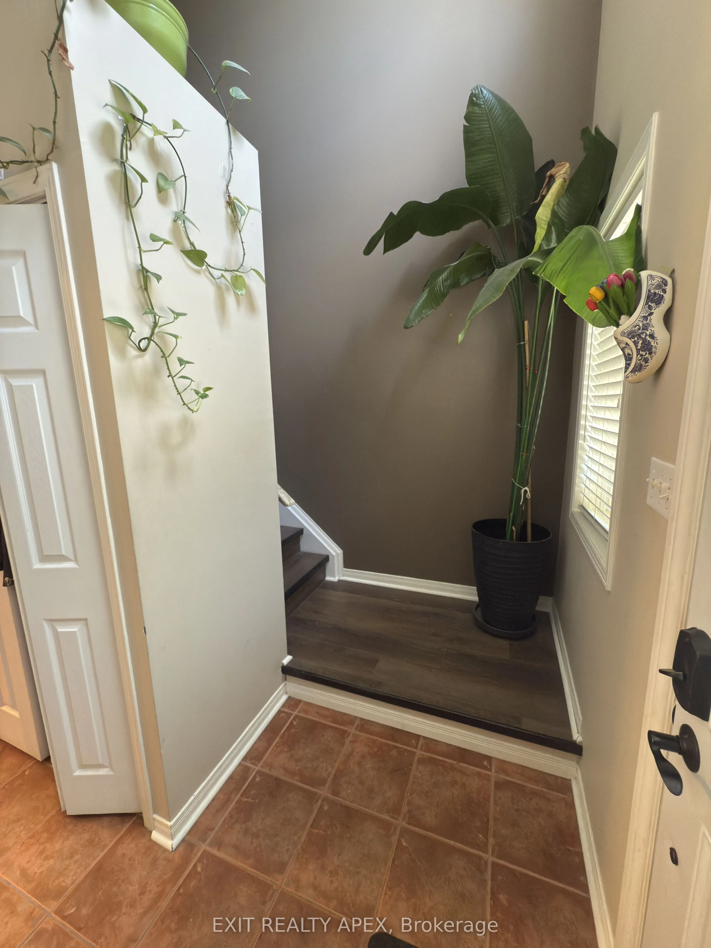 76 Frances Avenue, #9