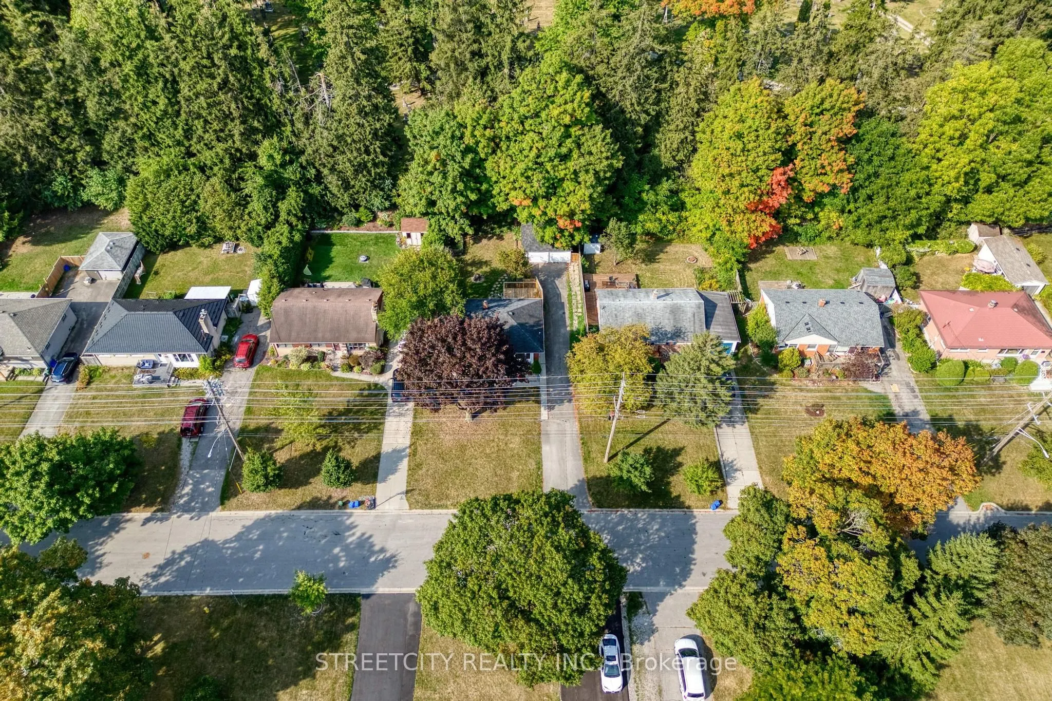 167 Trowbridge Avenue