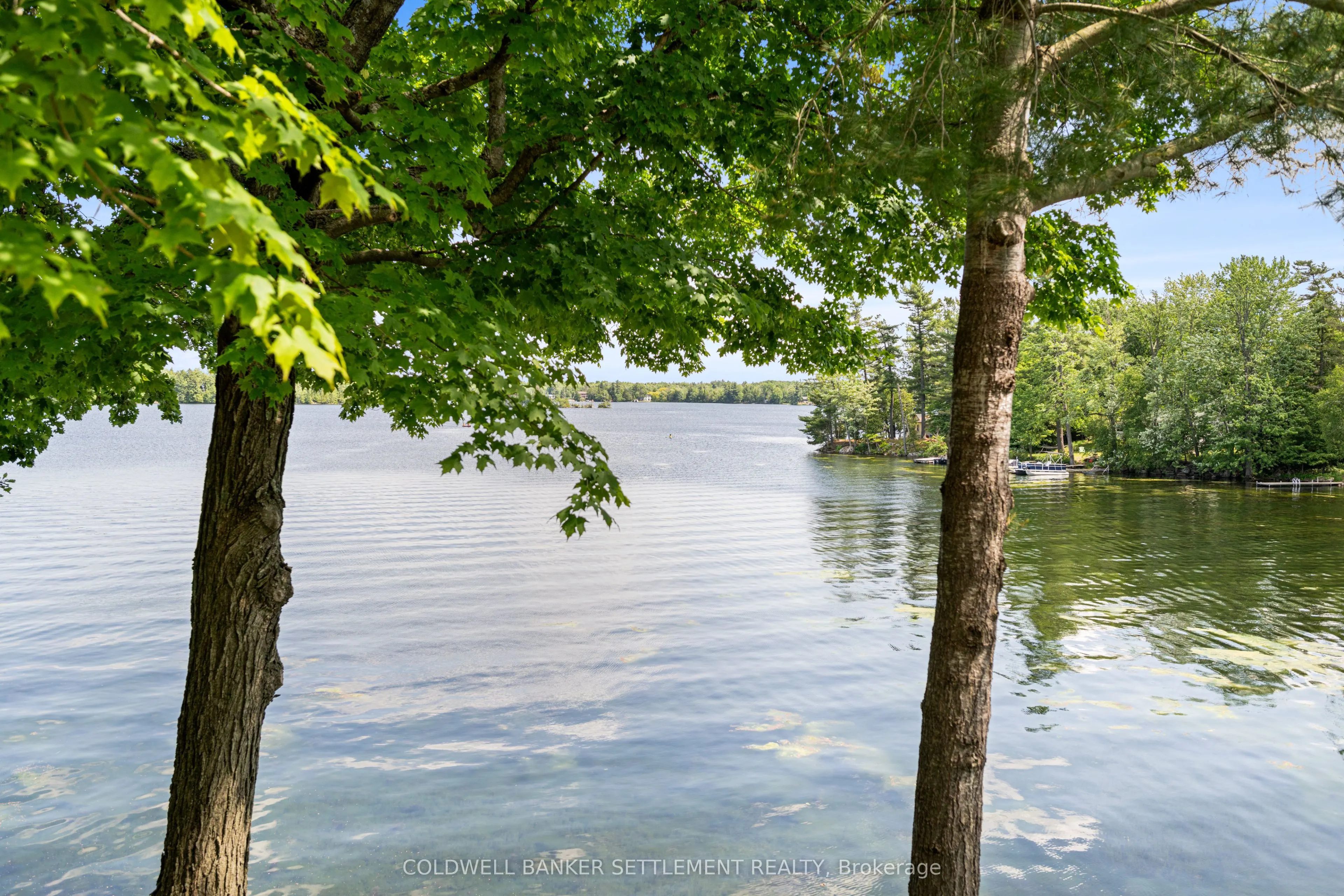111 Loon Drive