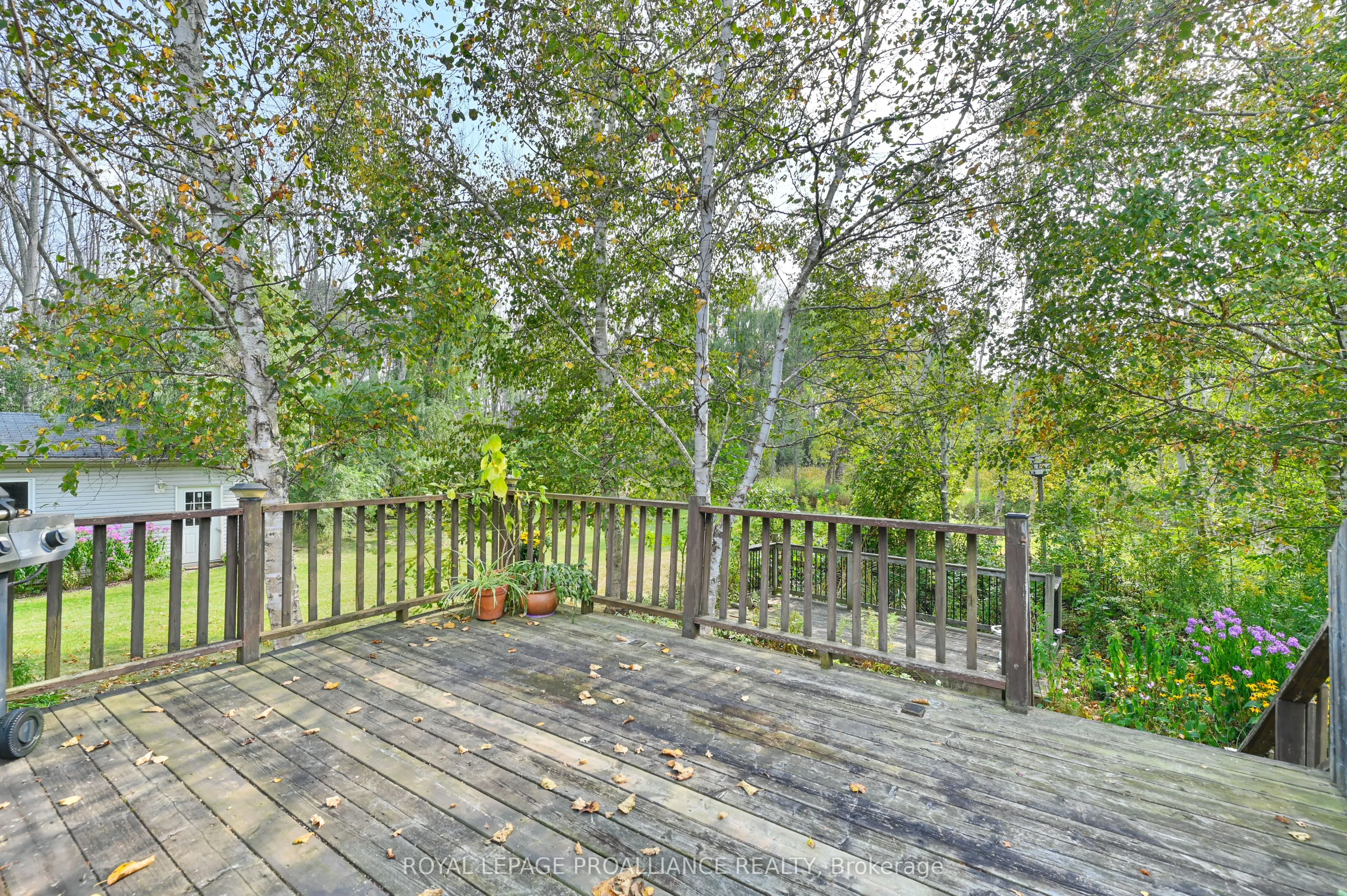 21289 Loyalist Parkway