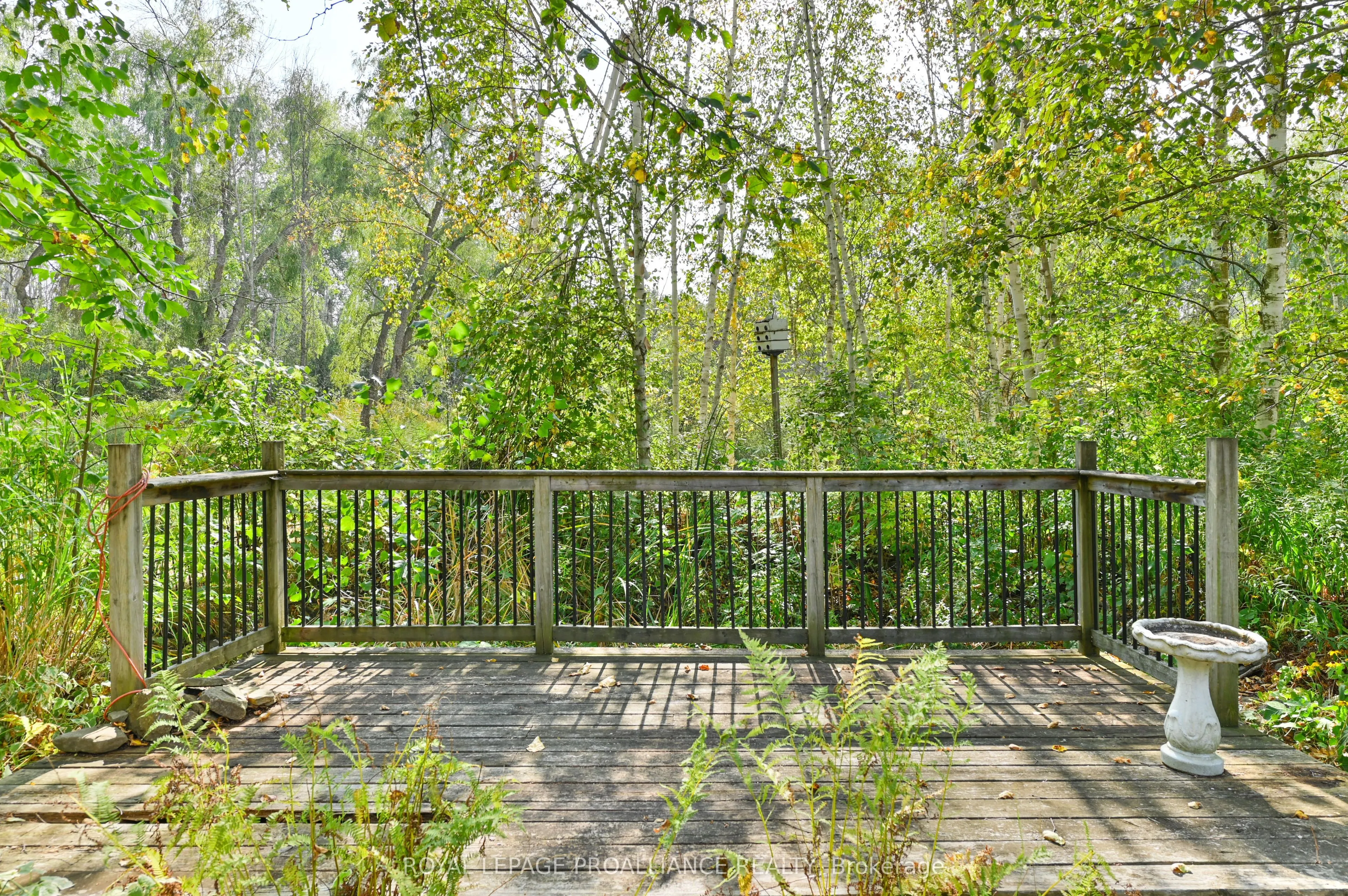 21289 Loyalist Parkway