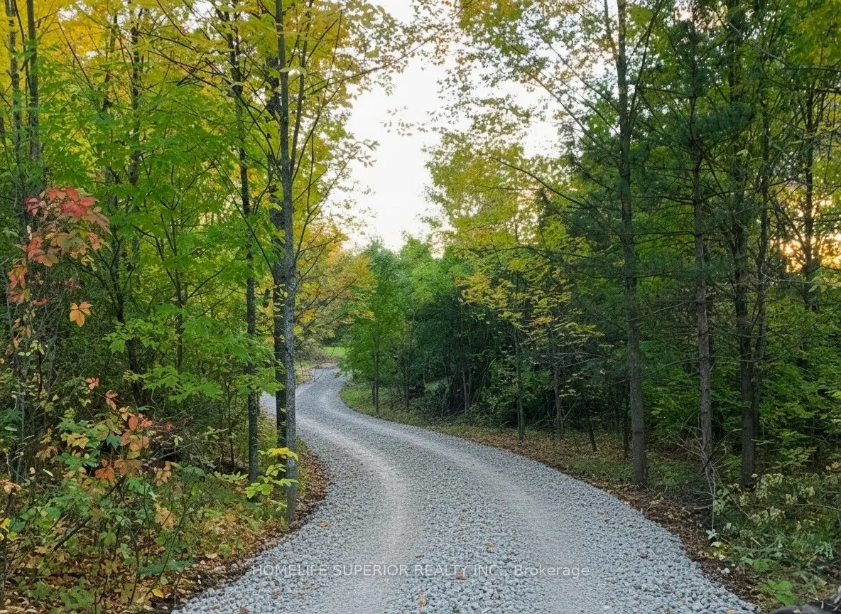 16213 Highway 62
