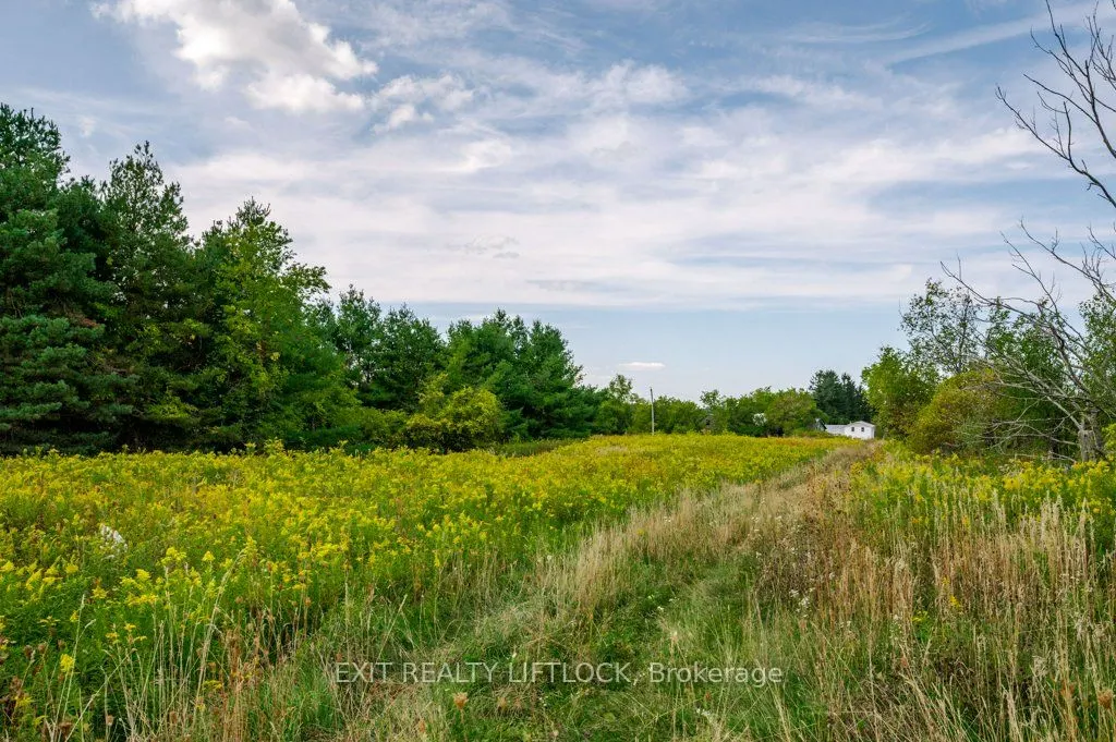 194 County Rd 10