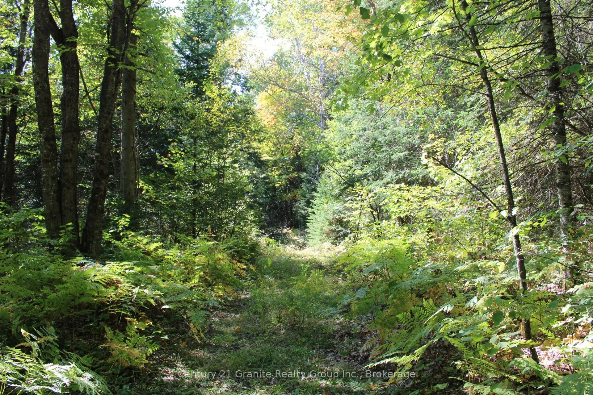 1295 Binscarth Trail
