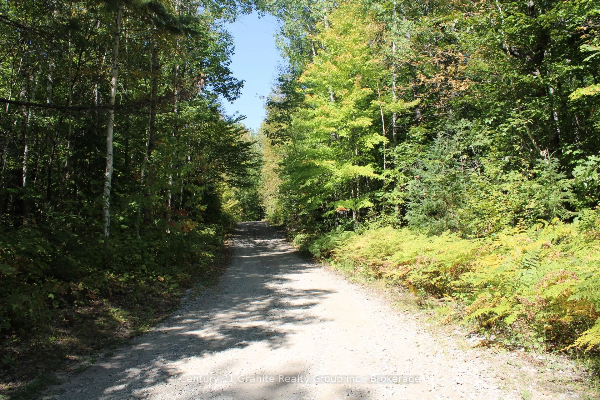 1295 Binscarth Trail