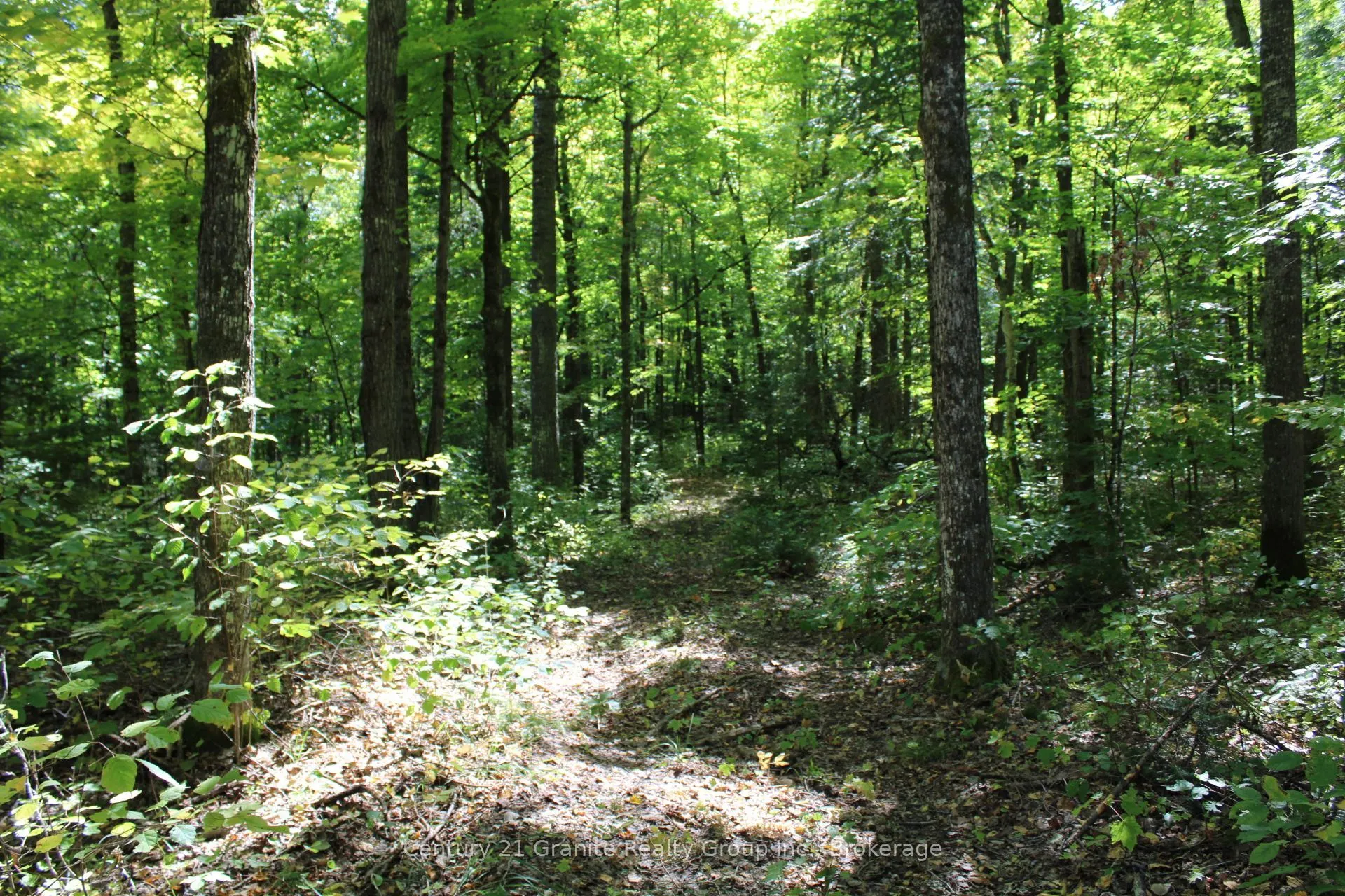 1295 Binscarth Trail