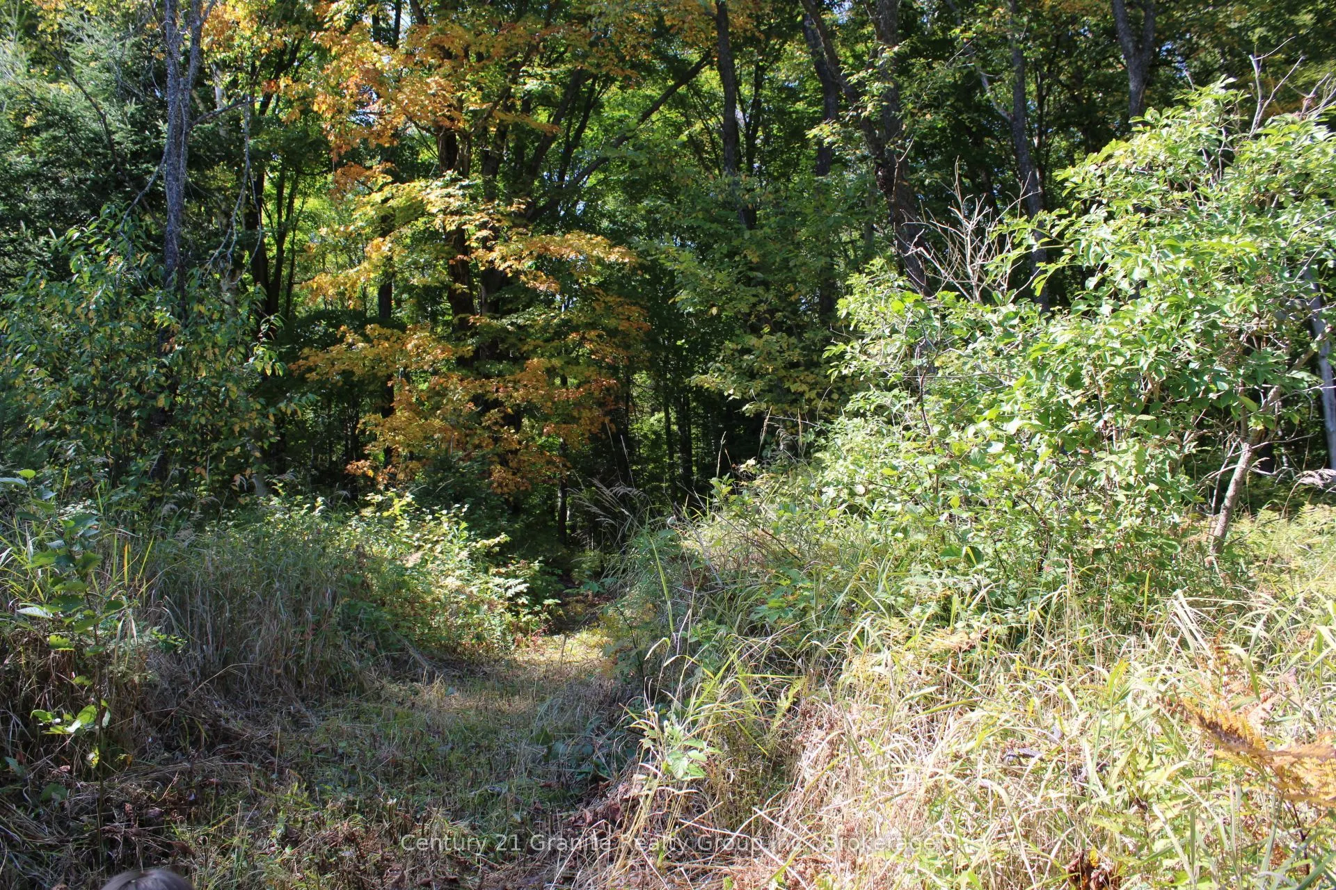 1295 Binscarth Trail