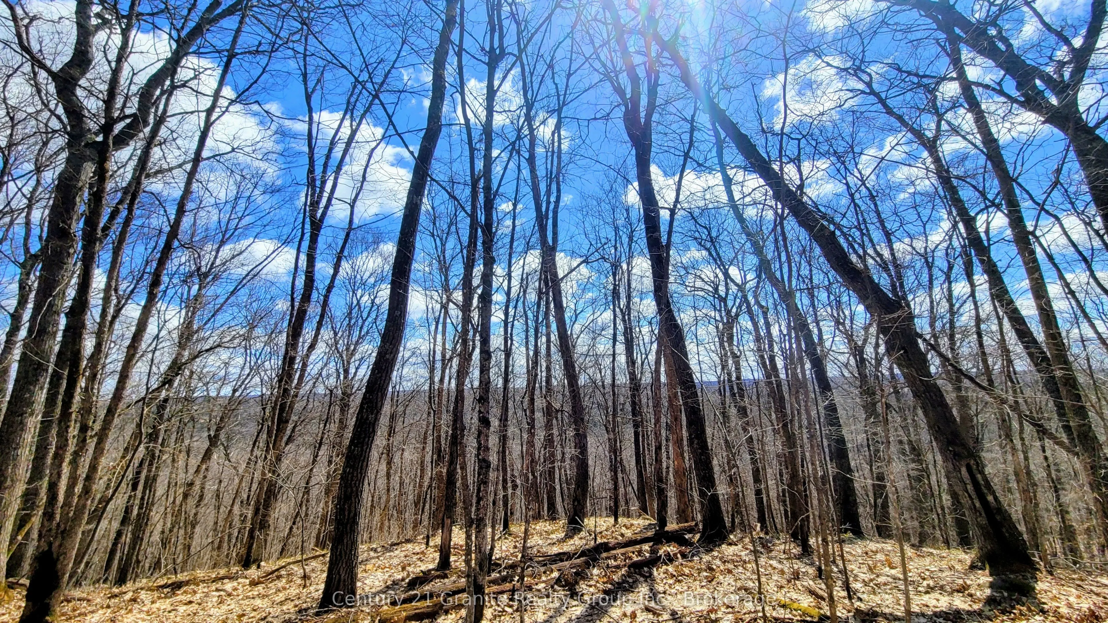 1295 Binscarth Trail