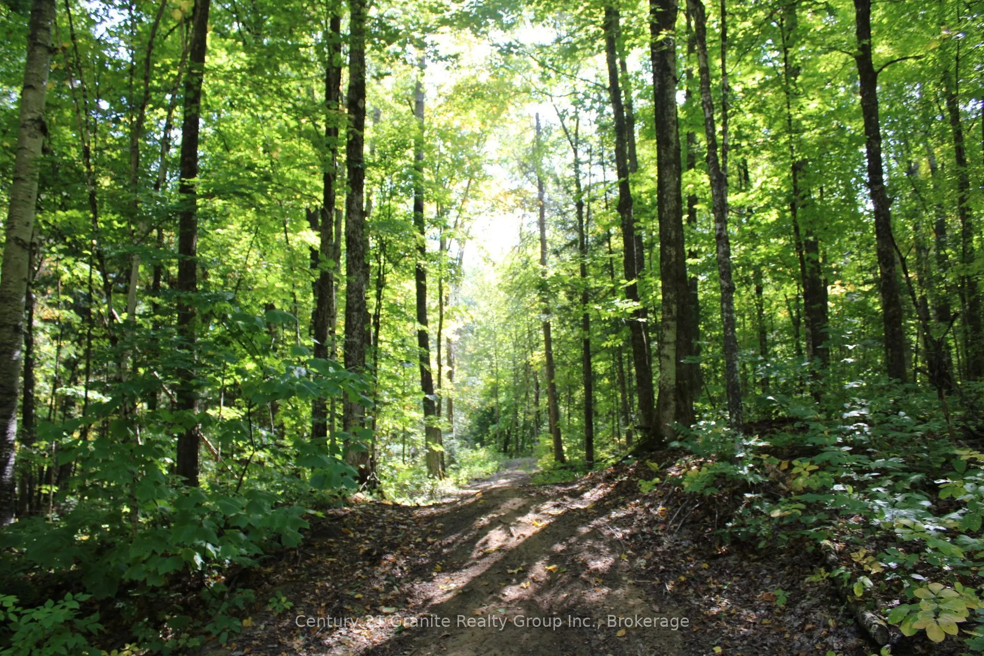 1295 Binscarth Trail