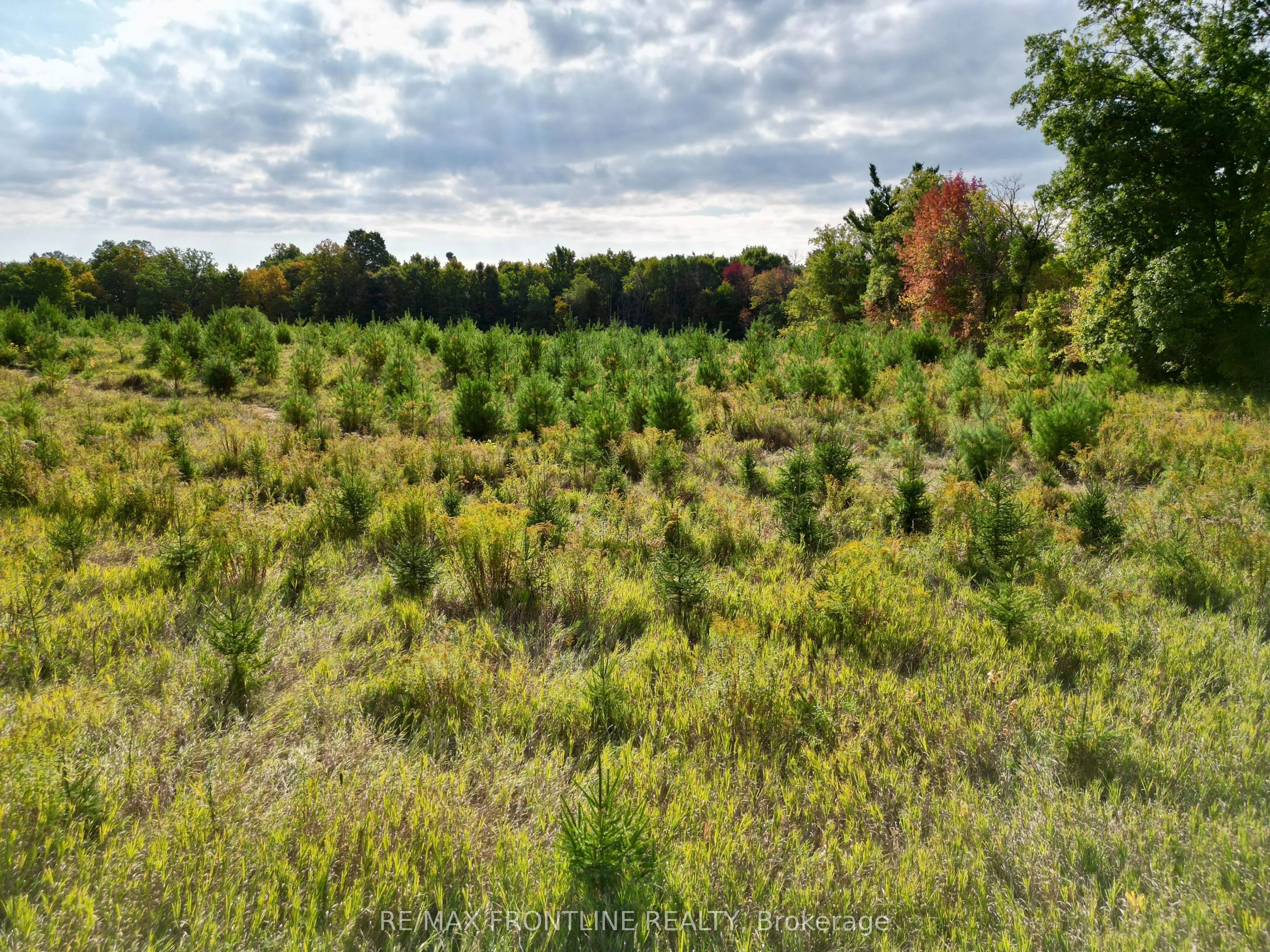 0 Bennett Lake Road