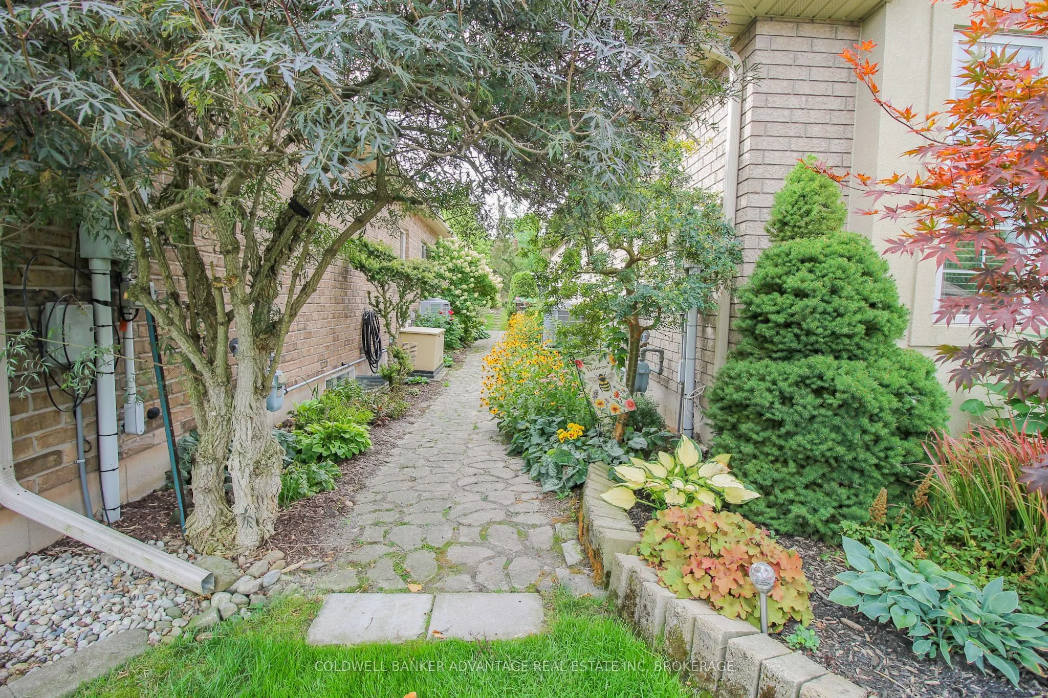 3935 Lower Coach Road