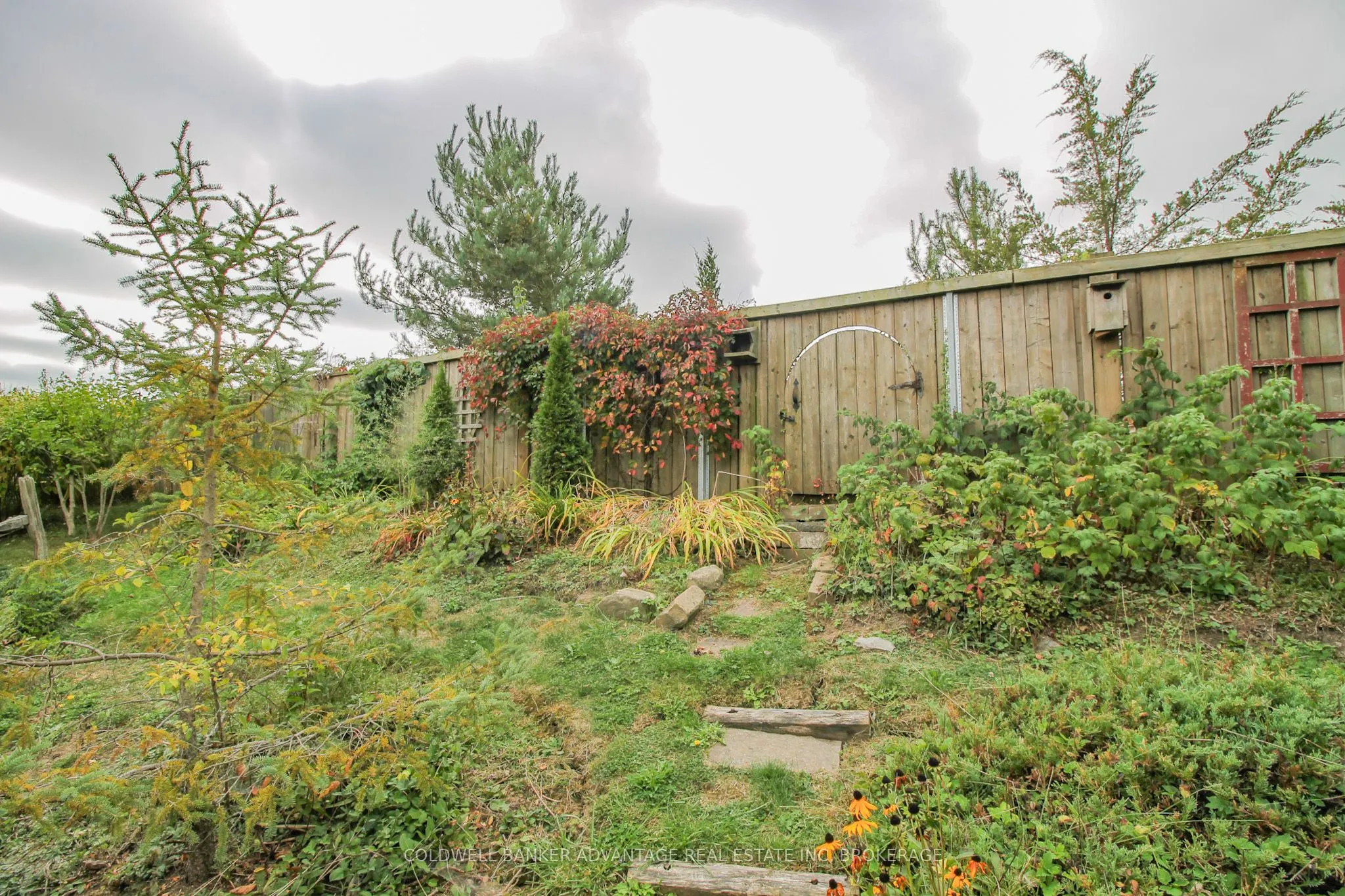 3935 Lower Coach Road