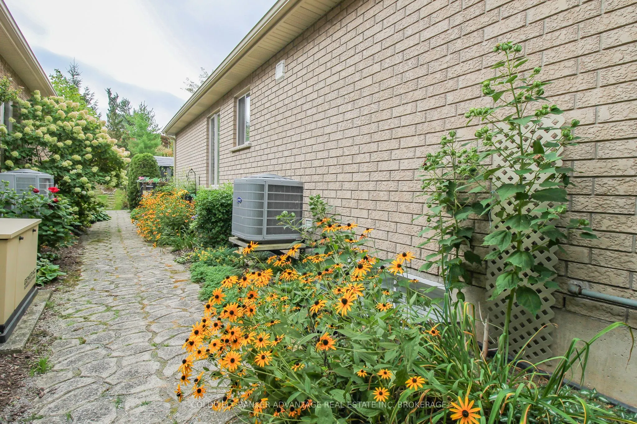 3935 Lower Coach Road