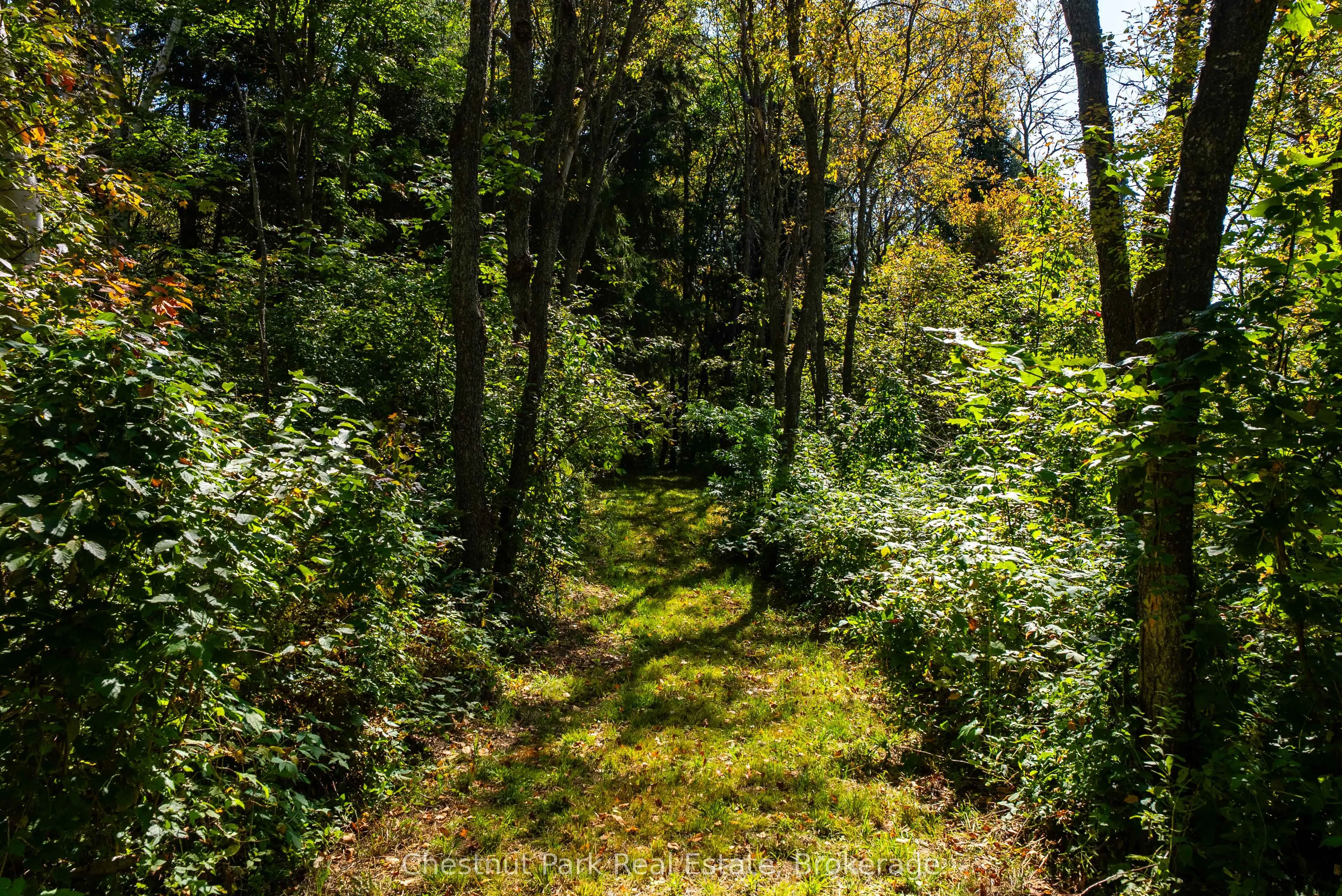 00 Deer Lake Road
