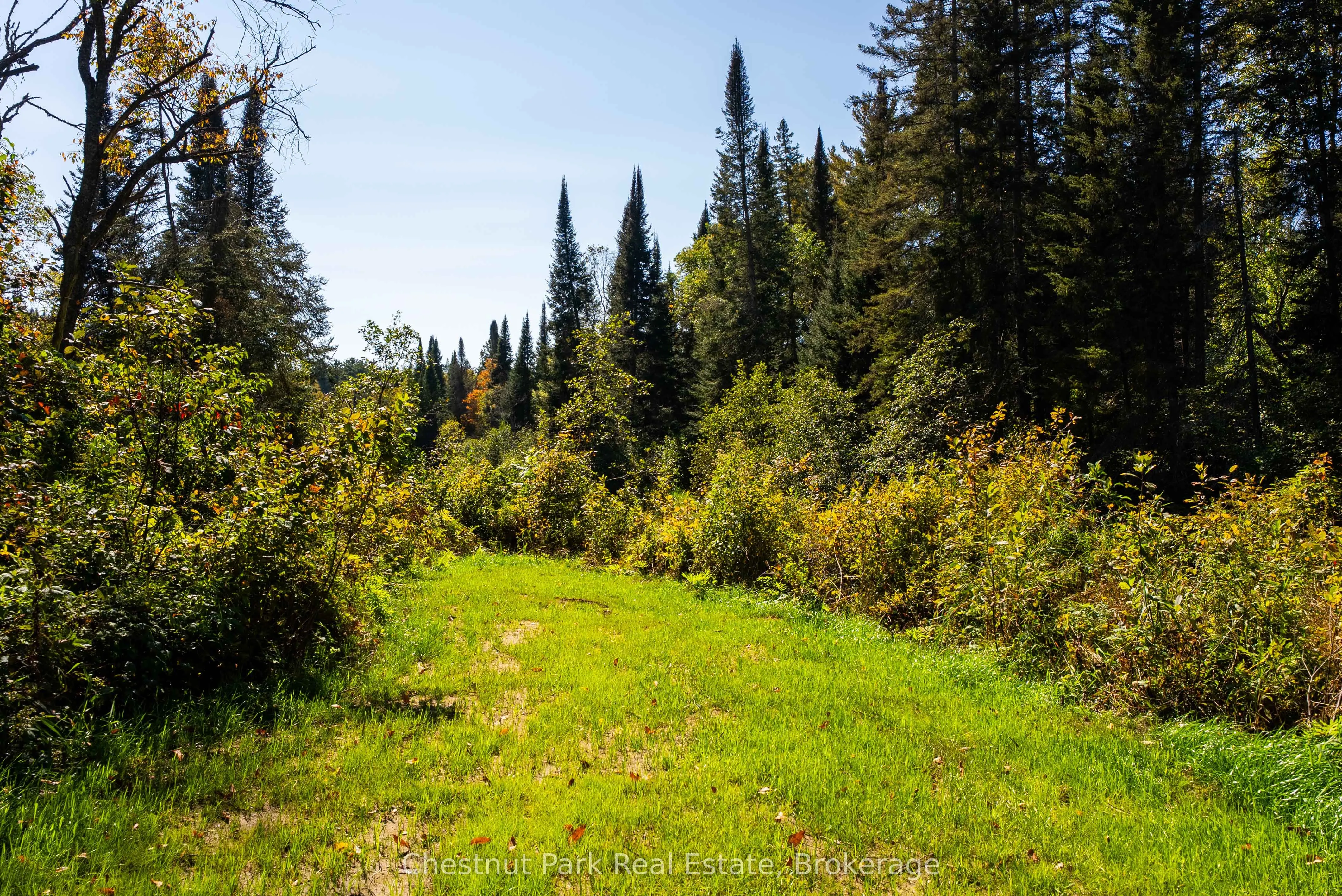 00 Deer Lake Road